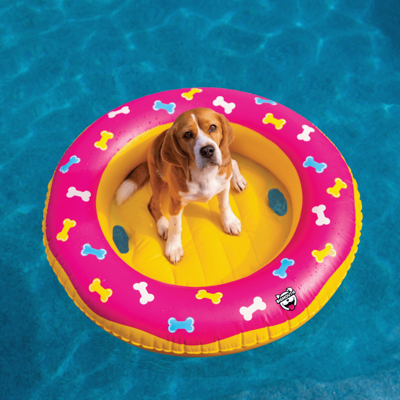 Pool And Backyard Pet Products To Have Fun In The Sun
