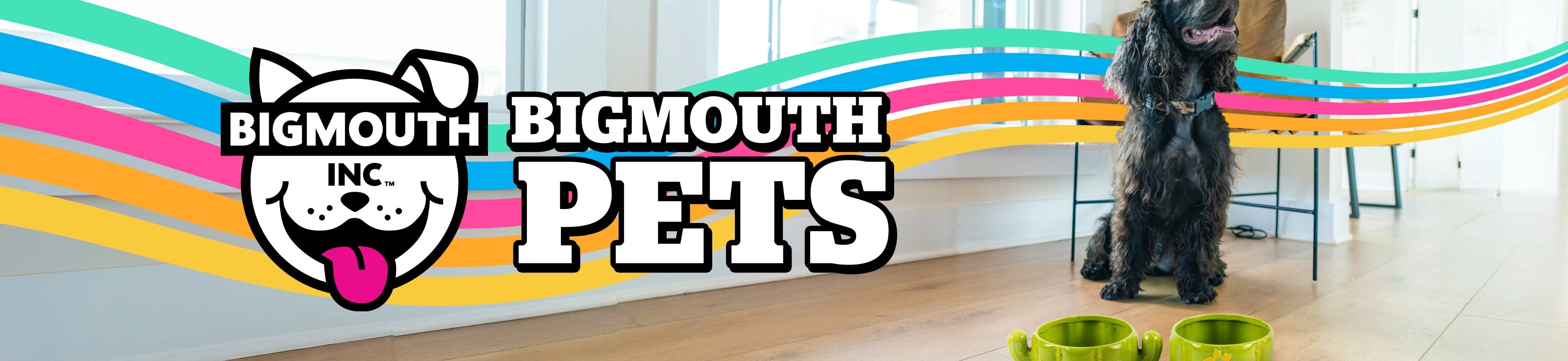 BigMouth Pets