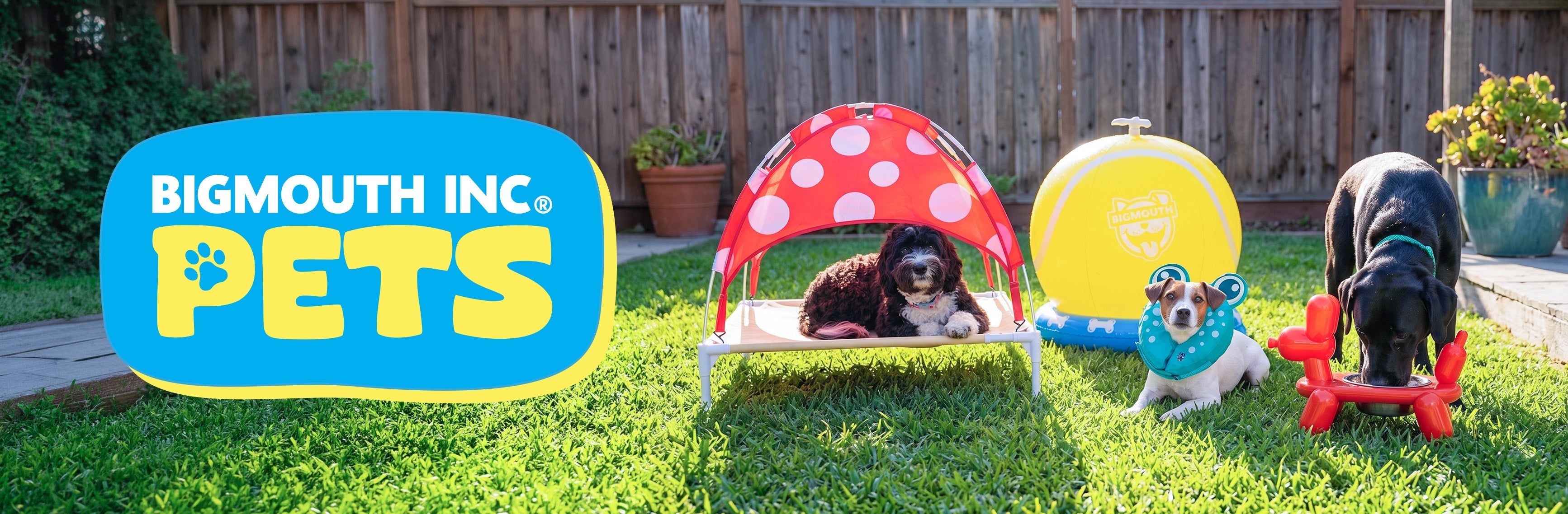 BigMouth Pets: Fun Pet Supplies & Accessories