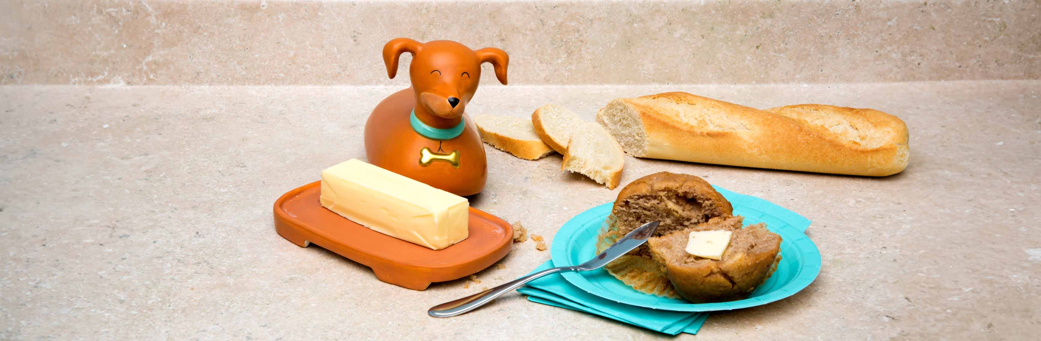 Gifts for Pet Lovers