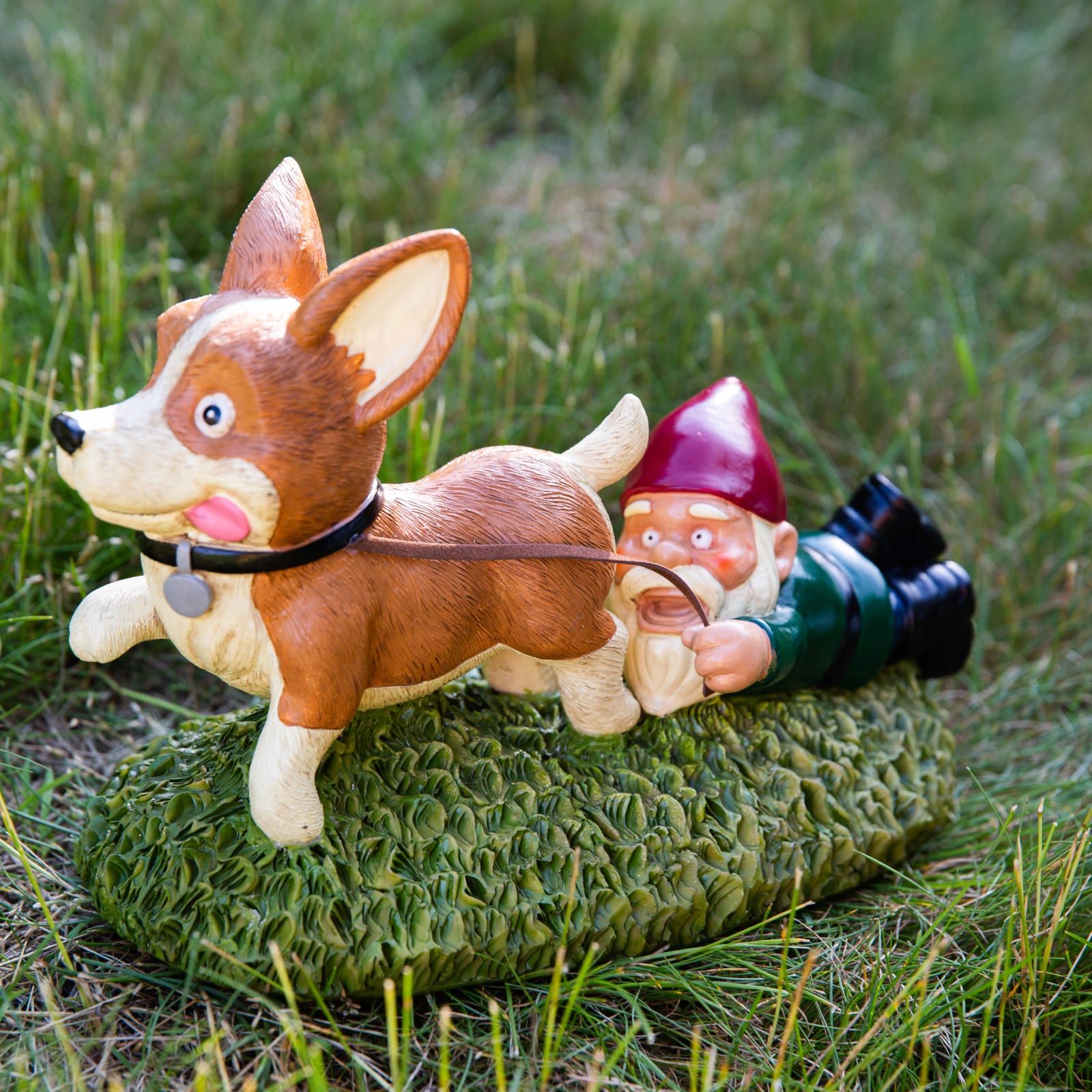 Giddy Up Doggy Gnome