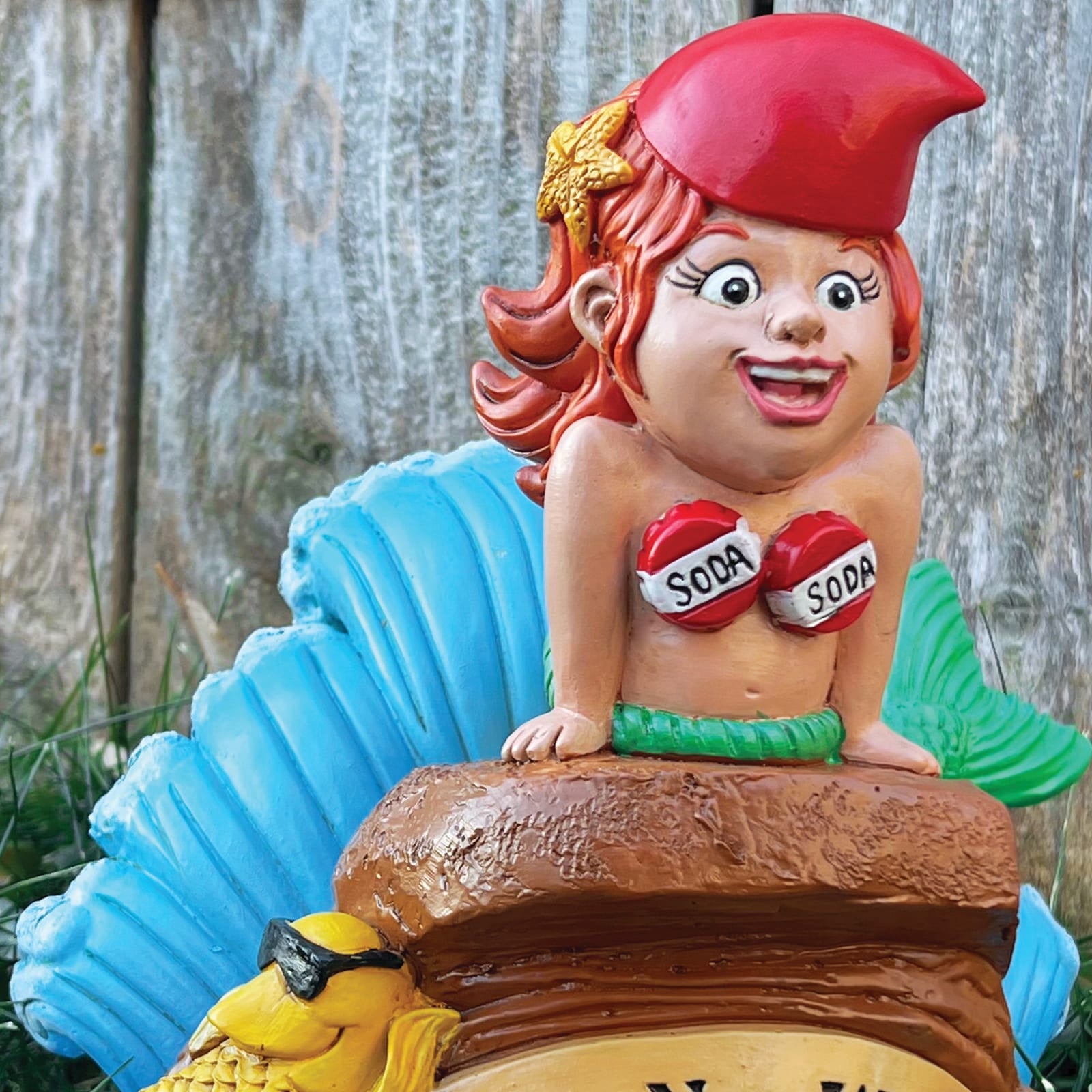 Little Mer-gnome