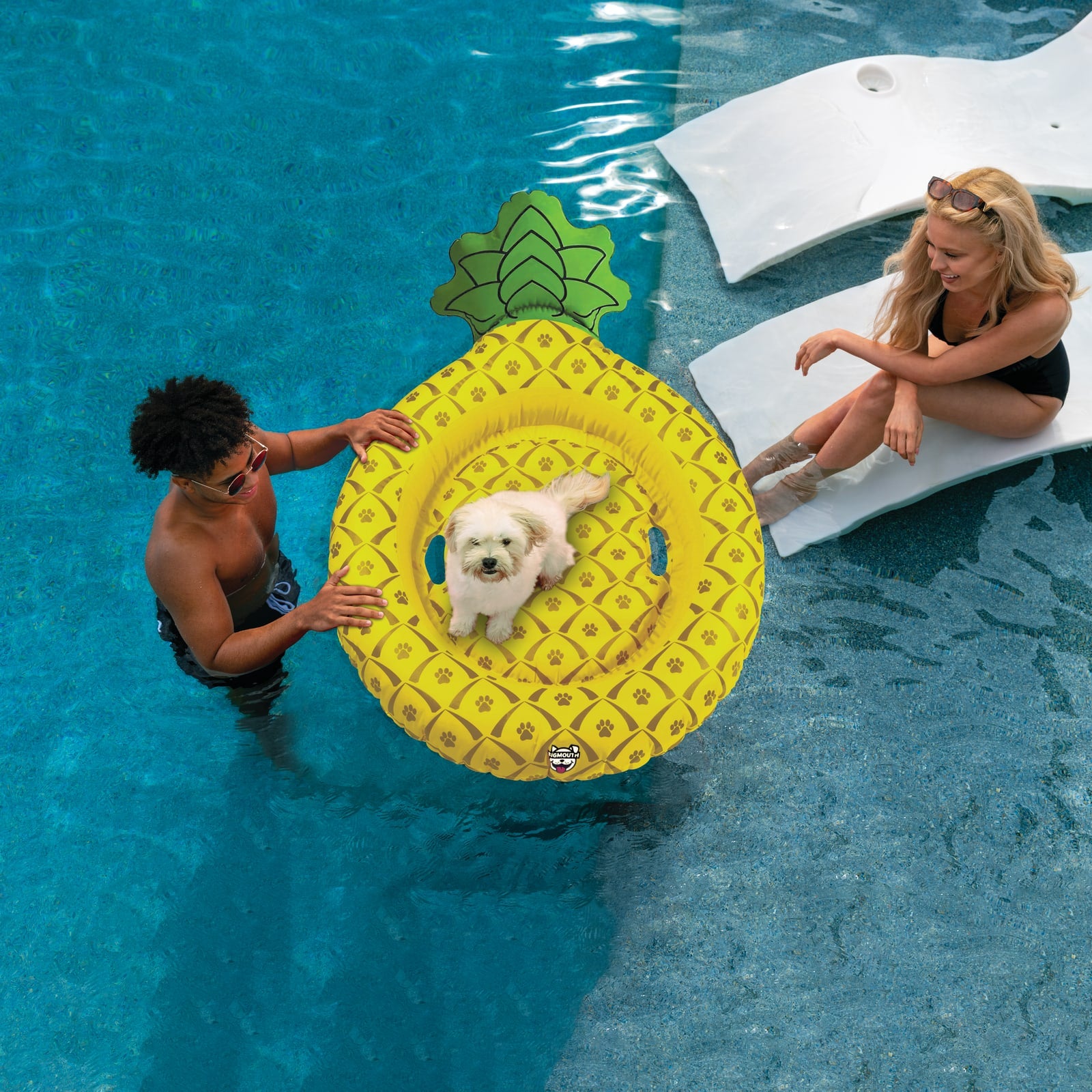 BigMouth Pets Pineapple Pool Float