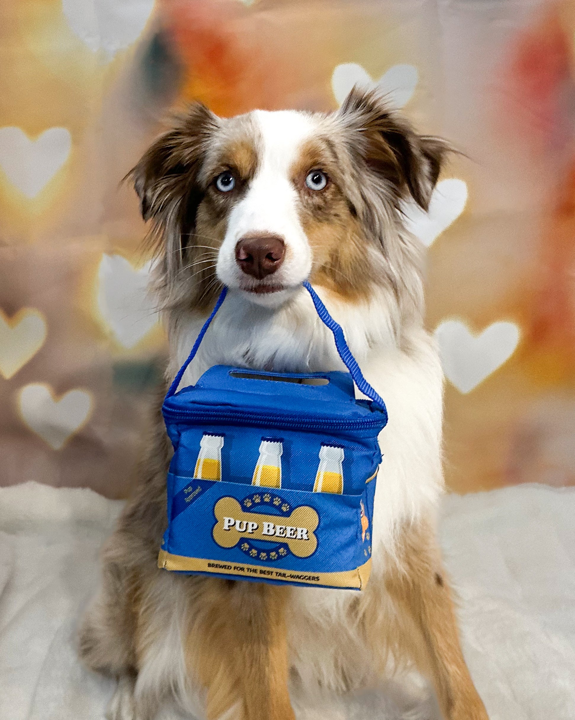 BigMouth Boozy Treats Pet Caddy