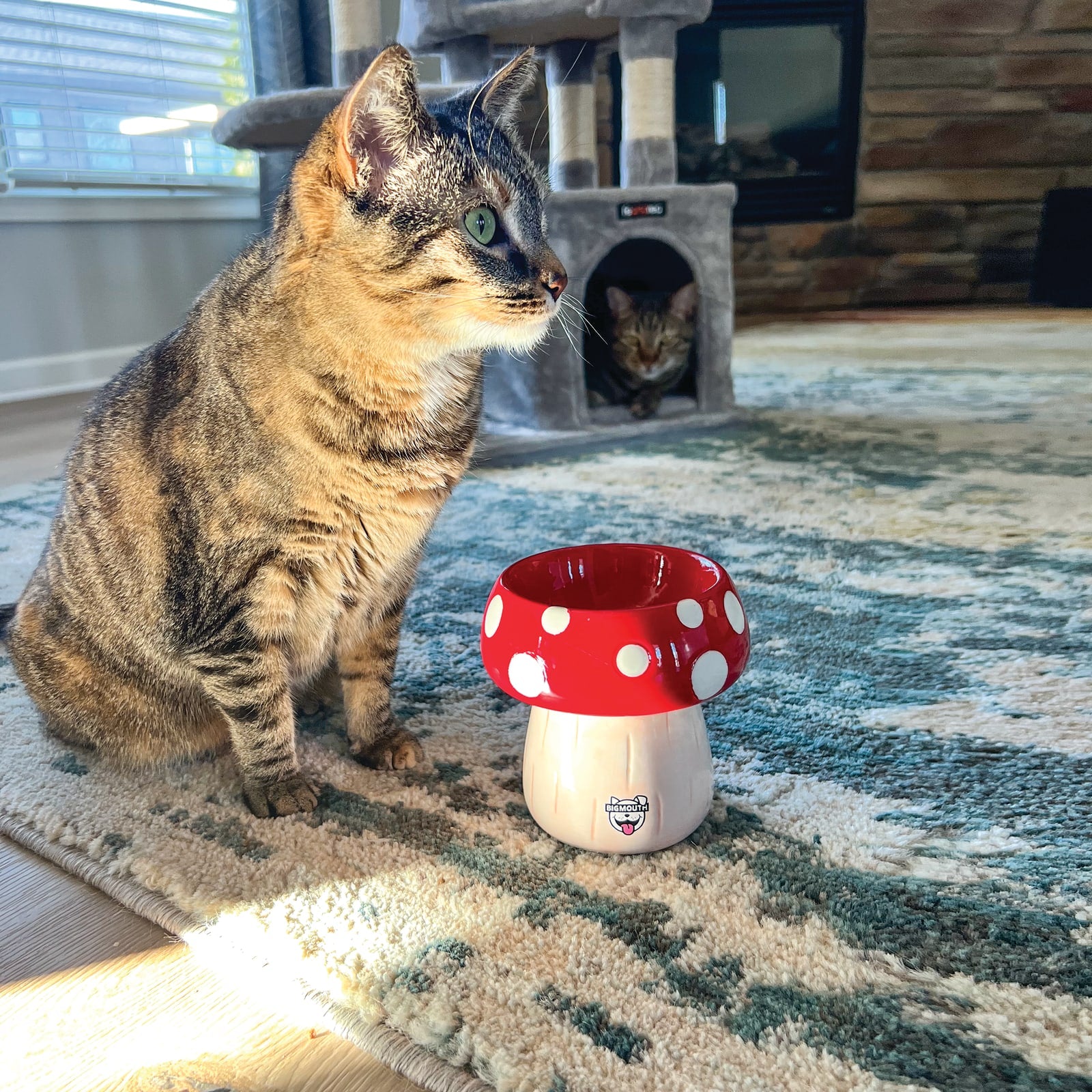 BigMouth 'Shroom' Cat and Dog Bowl
