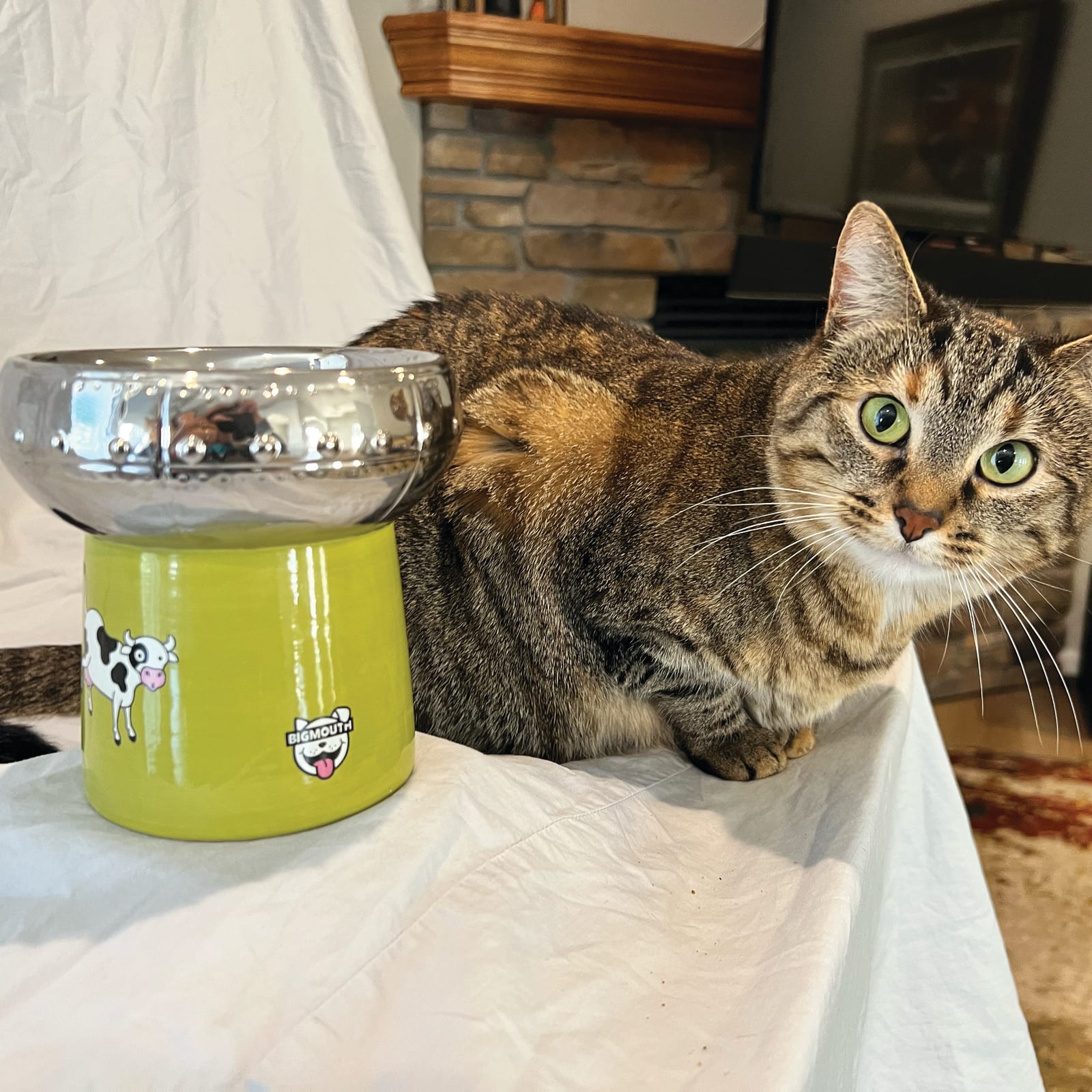 BigMouth 'Out of This World' Cat Bowl
