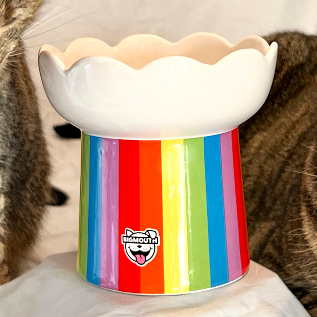 "Somewhere Over the Rainbow" Cat Bowl