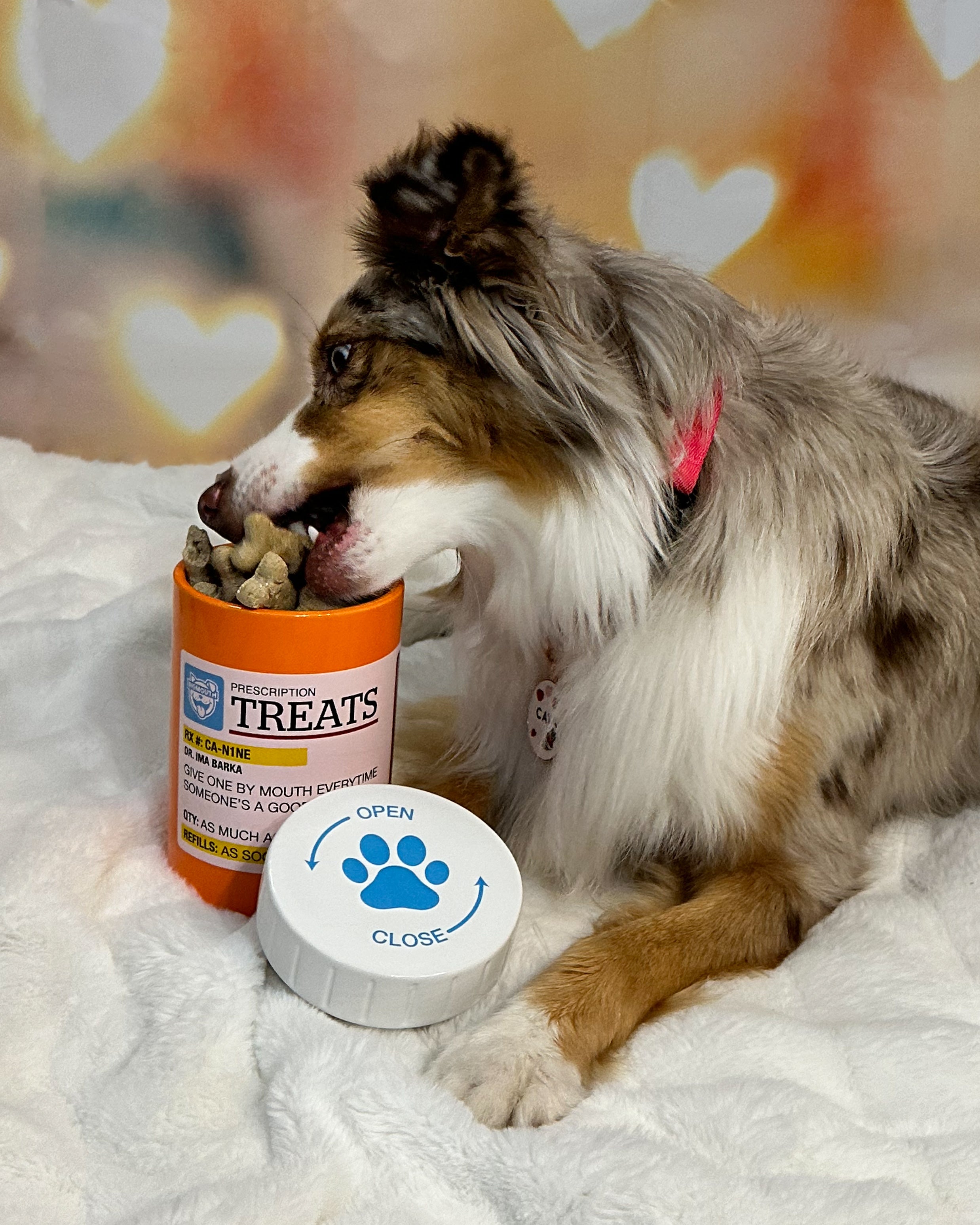 BigMouth Pets "Prescription" Treat Jar