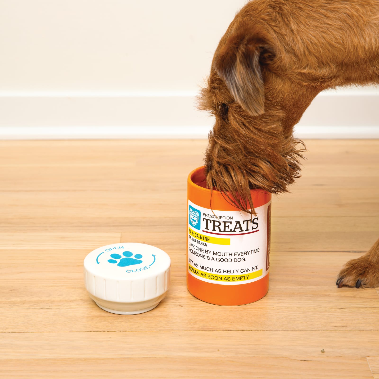 BigMouth Pets "Prescription" Treat Jar