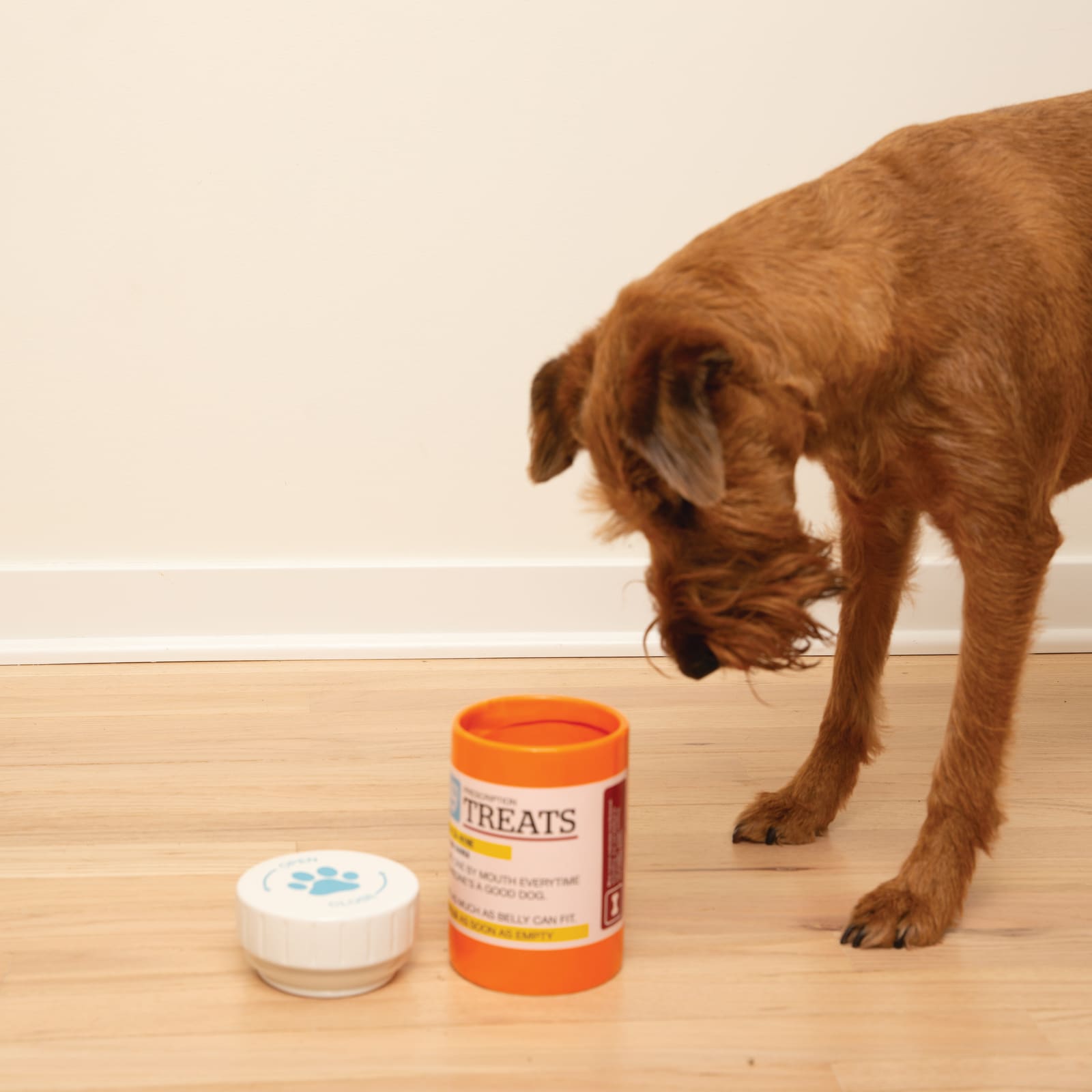 BigMouth Pets "Prescription" Treat Jar