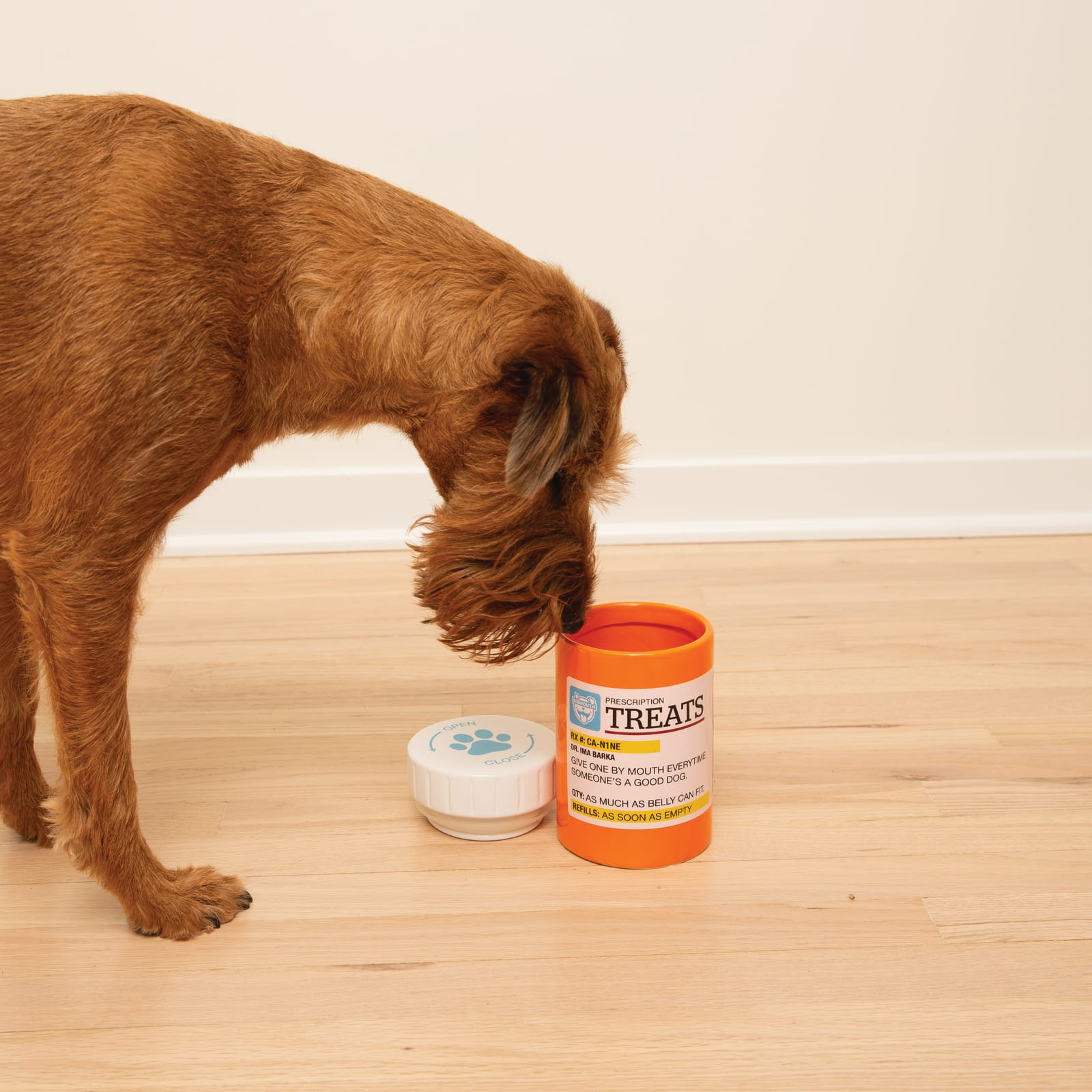 BigMouth Pets "Prescription" Treat Jar