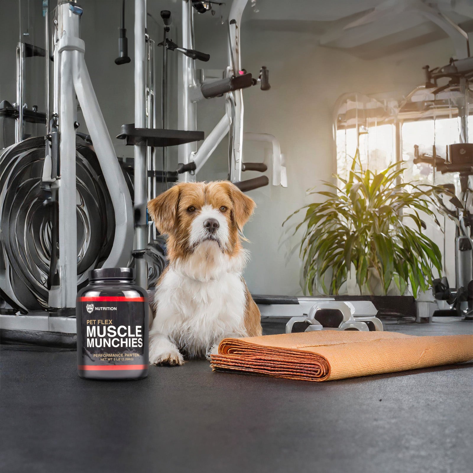 Muscle Munchies Treat Jar