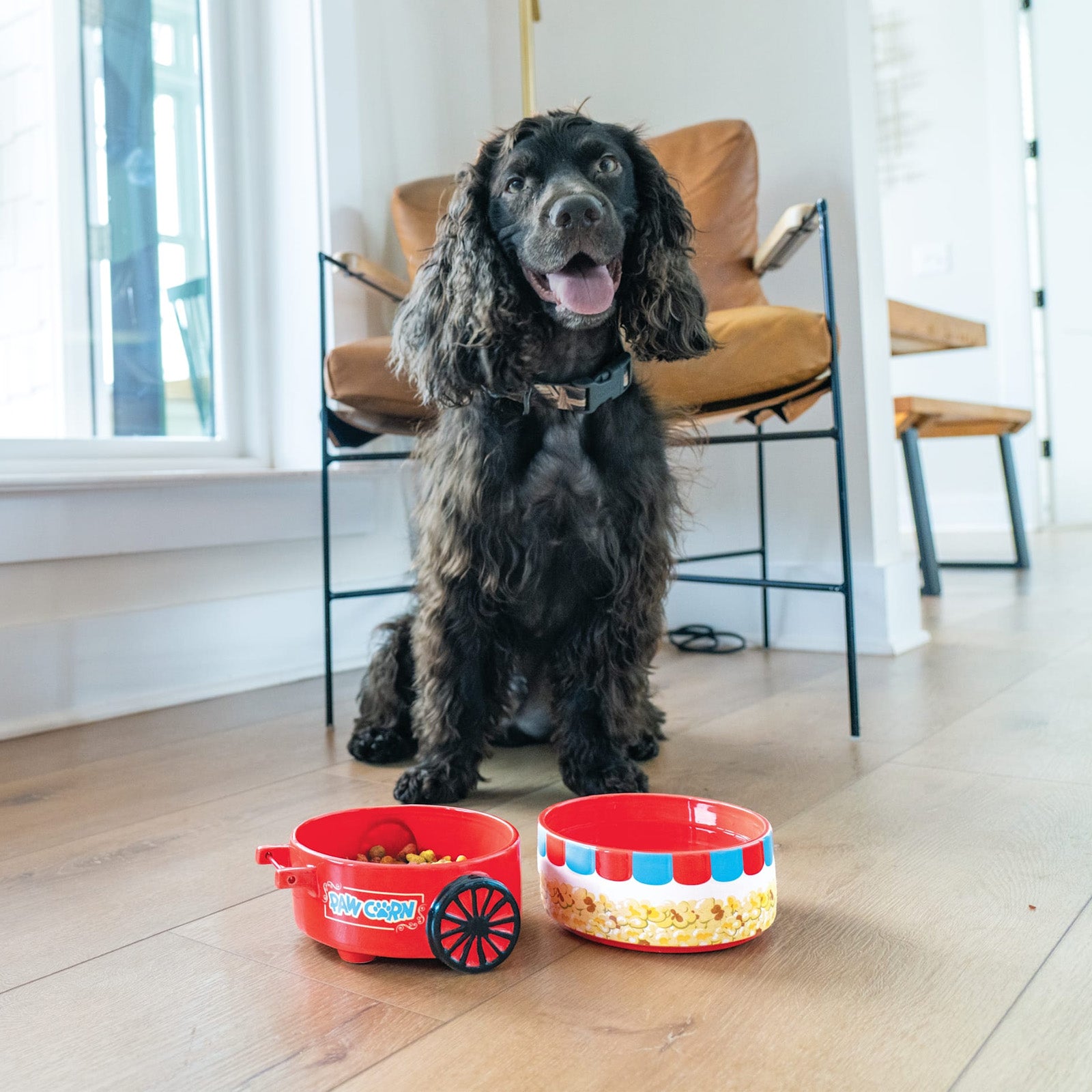 Poppin' Paws Pet Stacking Bowls