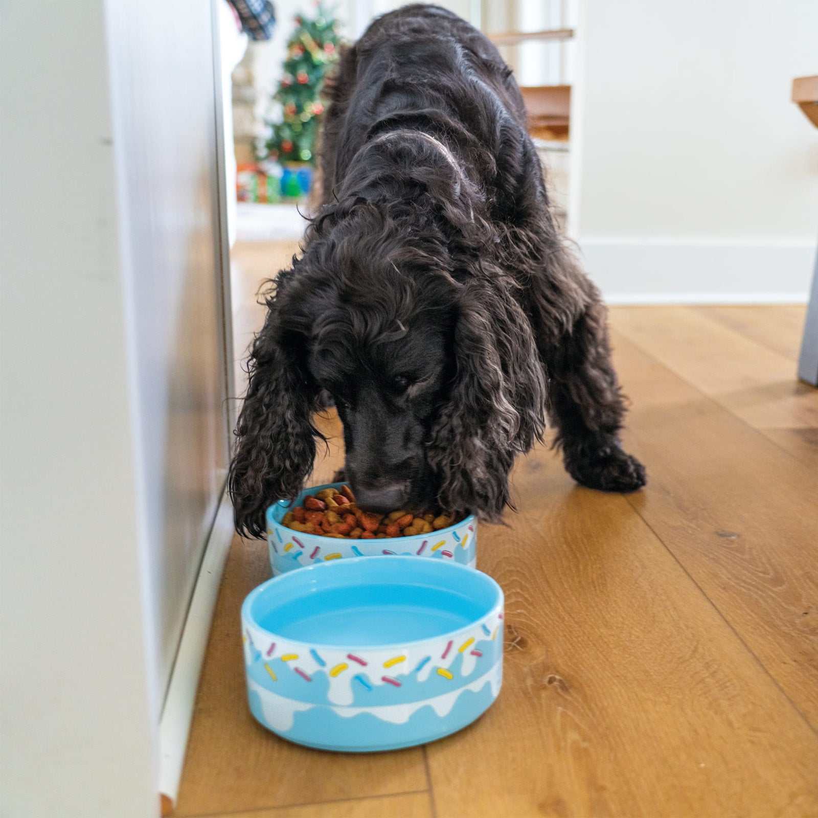 Sweet Spot Stacking Pet Bowls