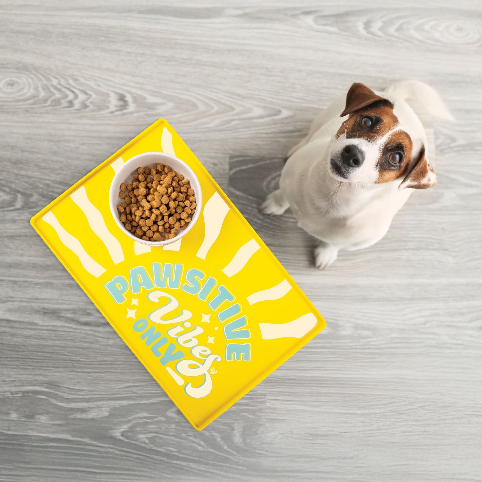 Pawsitive Vibes Pet Placemat