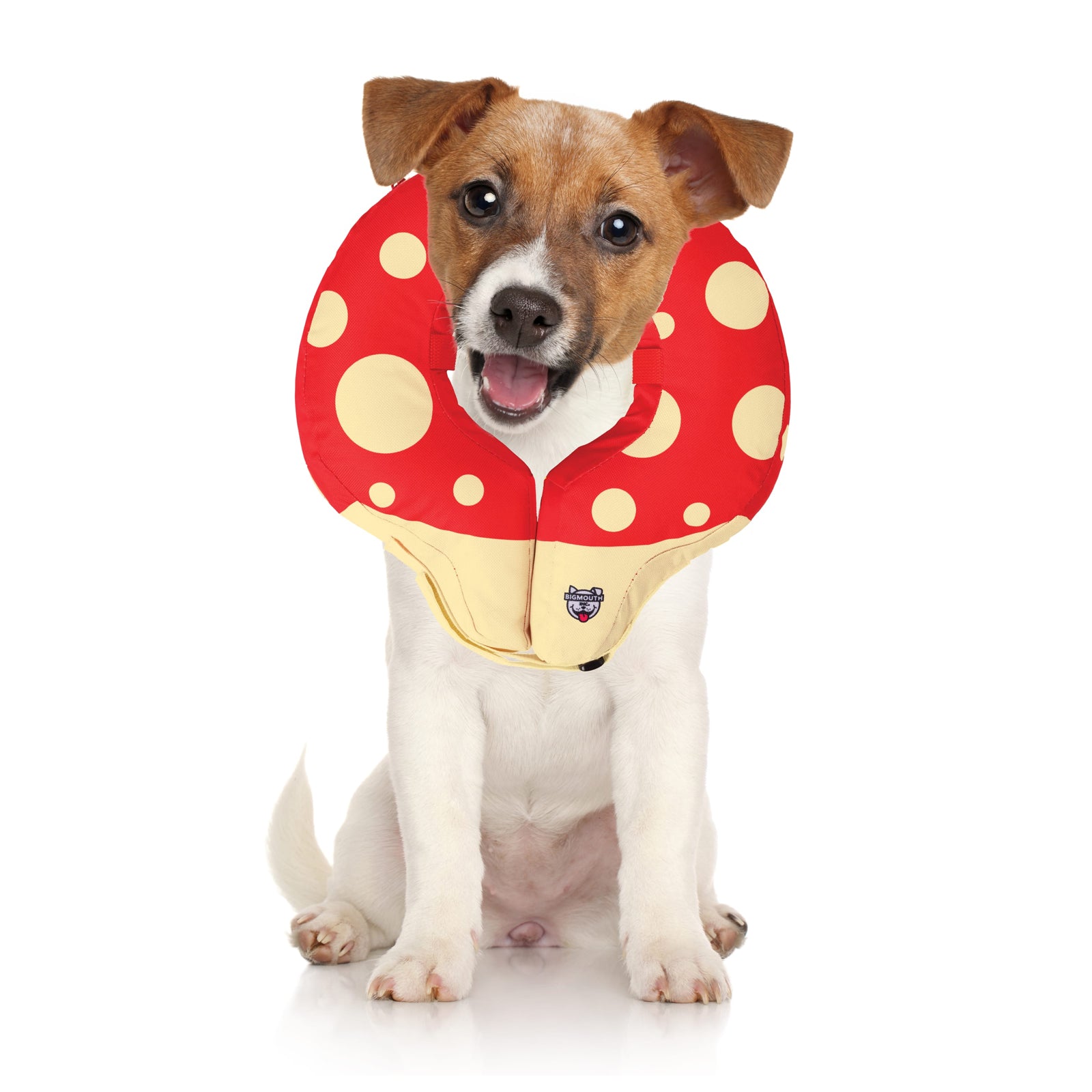 Mushroom Inflatable Dog Recovery Collar