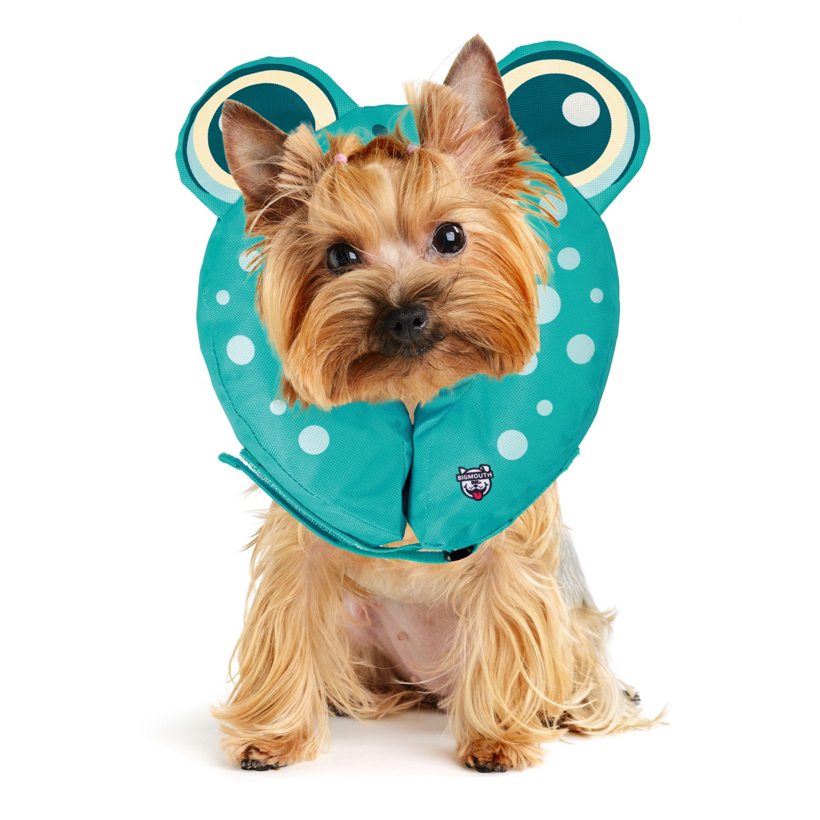 Frog Inflatable Recovery Collar