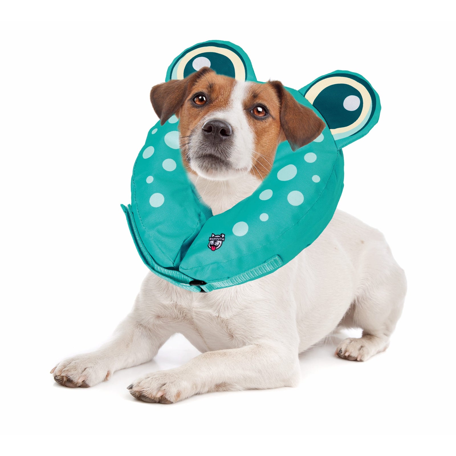 Frog Inflatable Recovery Collar