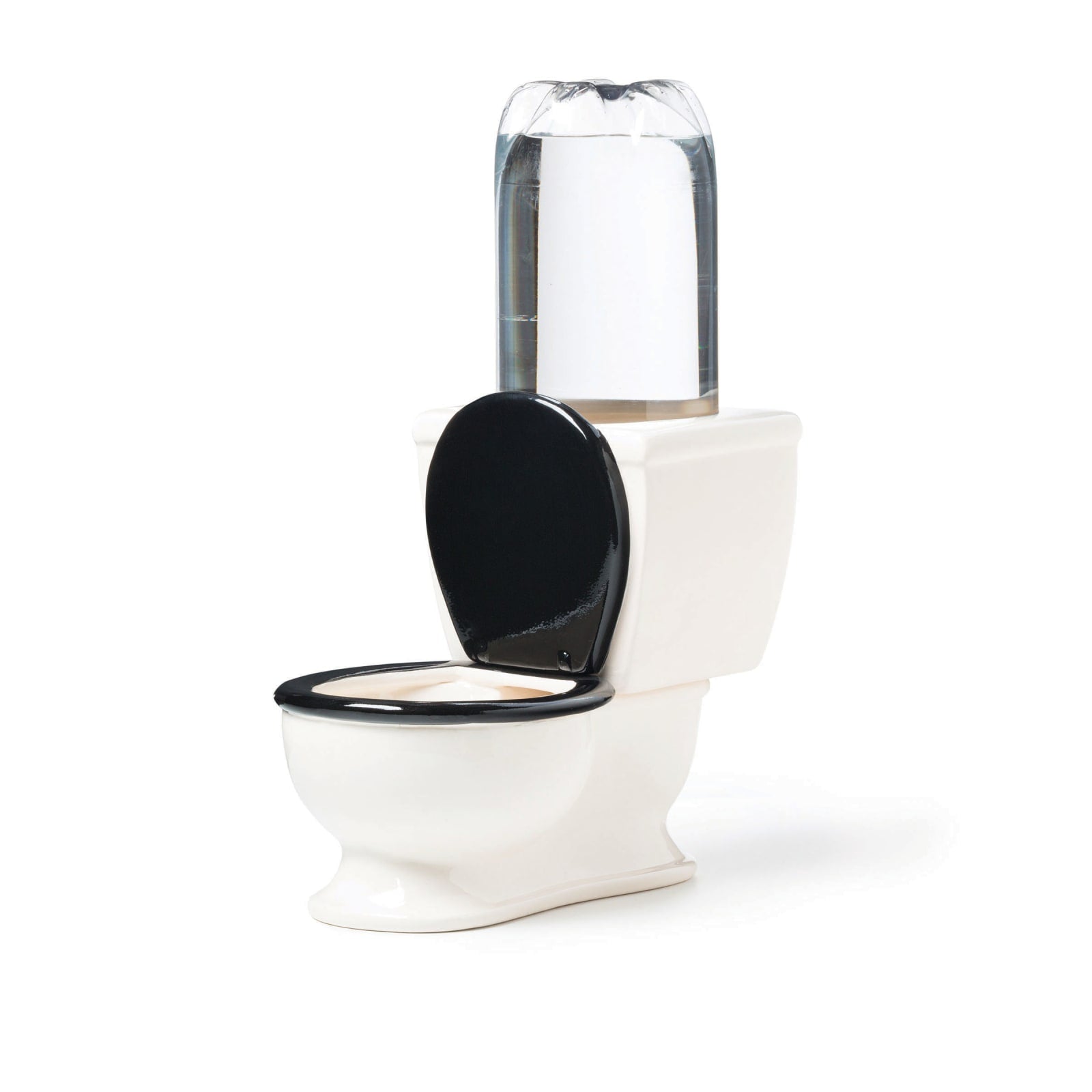 The Toilet Water Dish