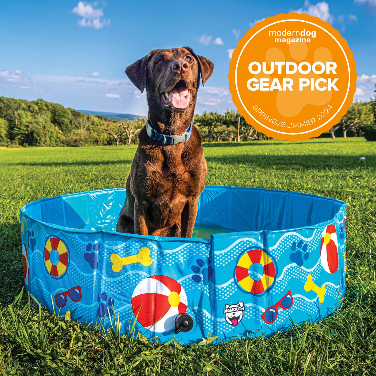 Patterns and Splashes Pet Pool