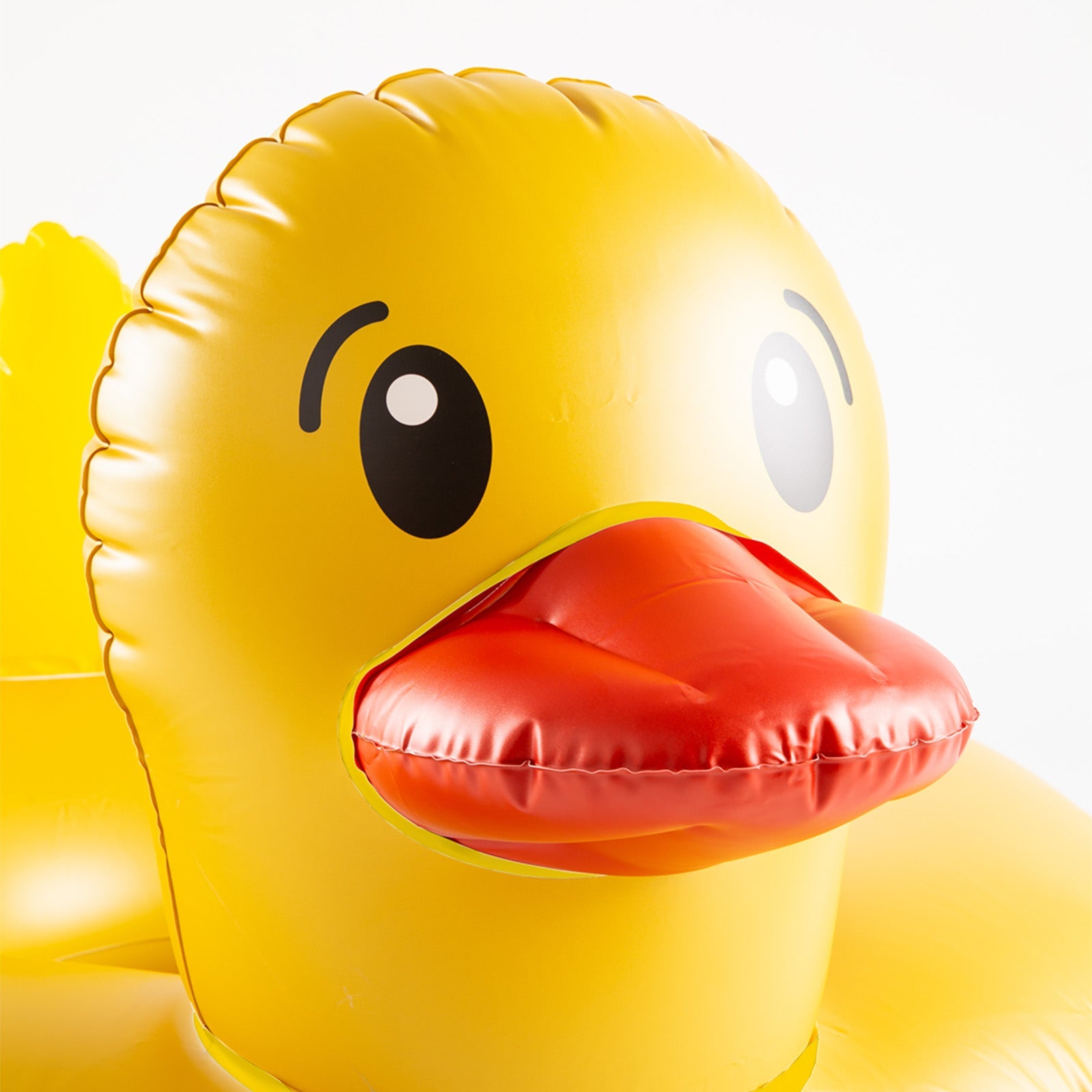 Duck Float