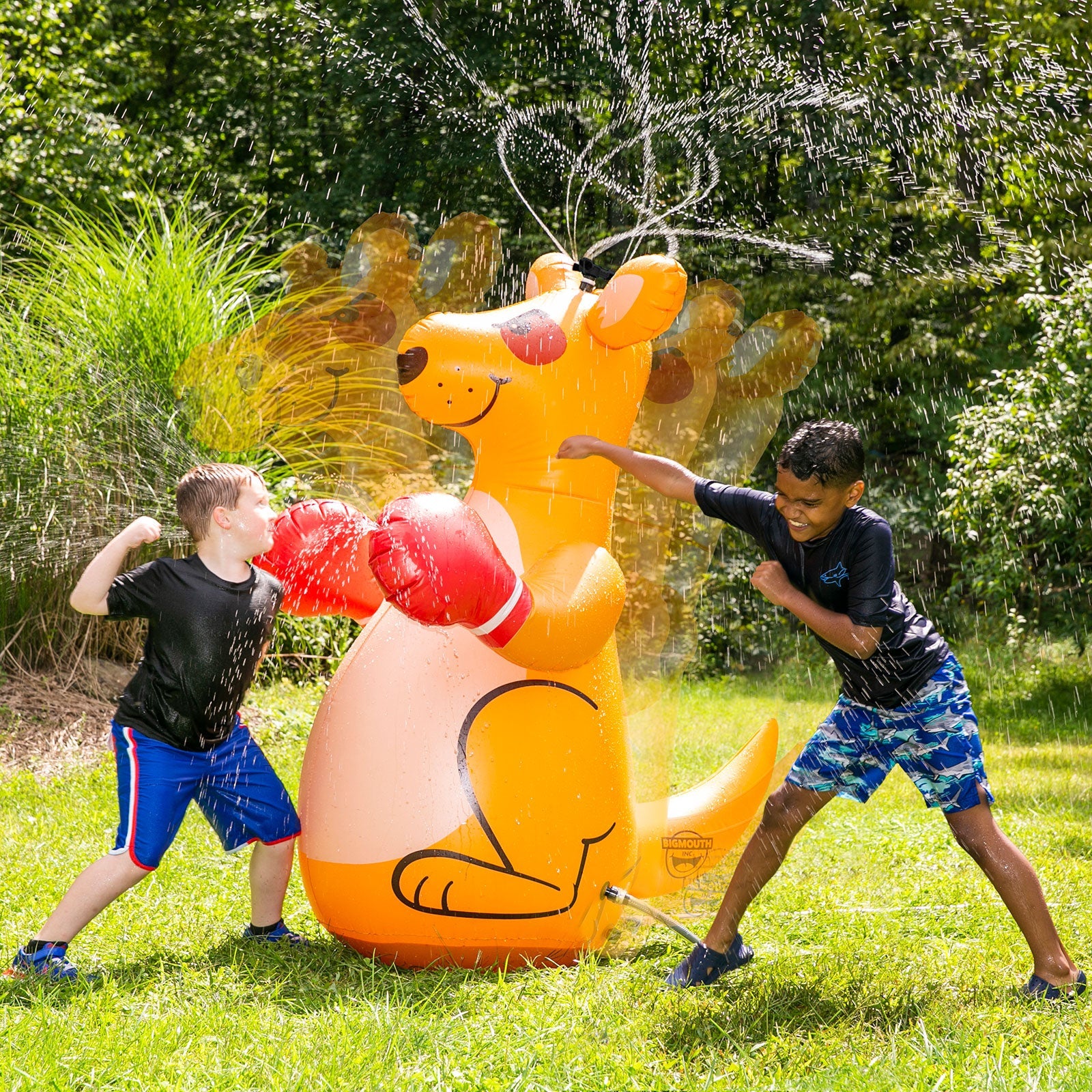 Boxing Kangaroo 60 inch