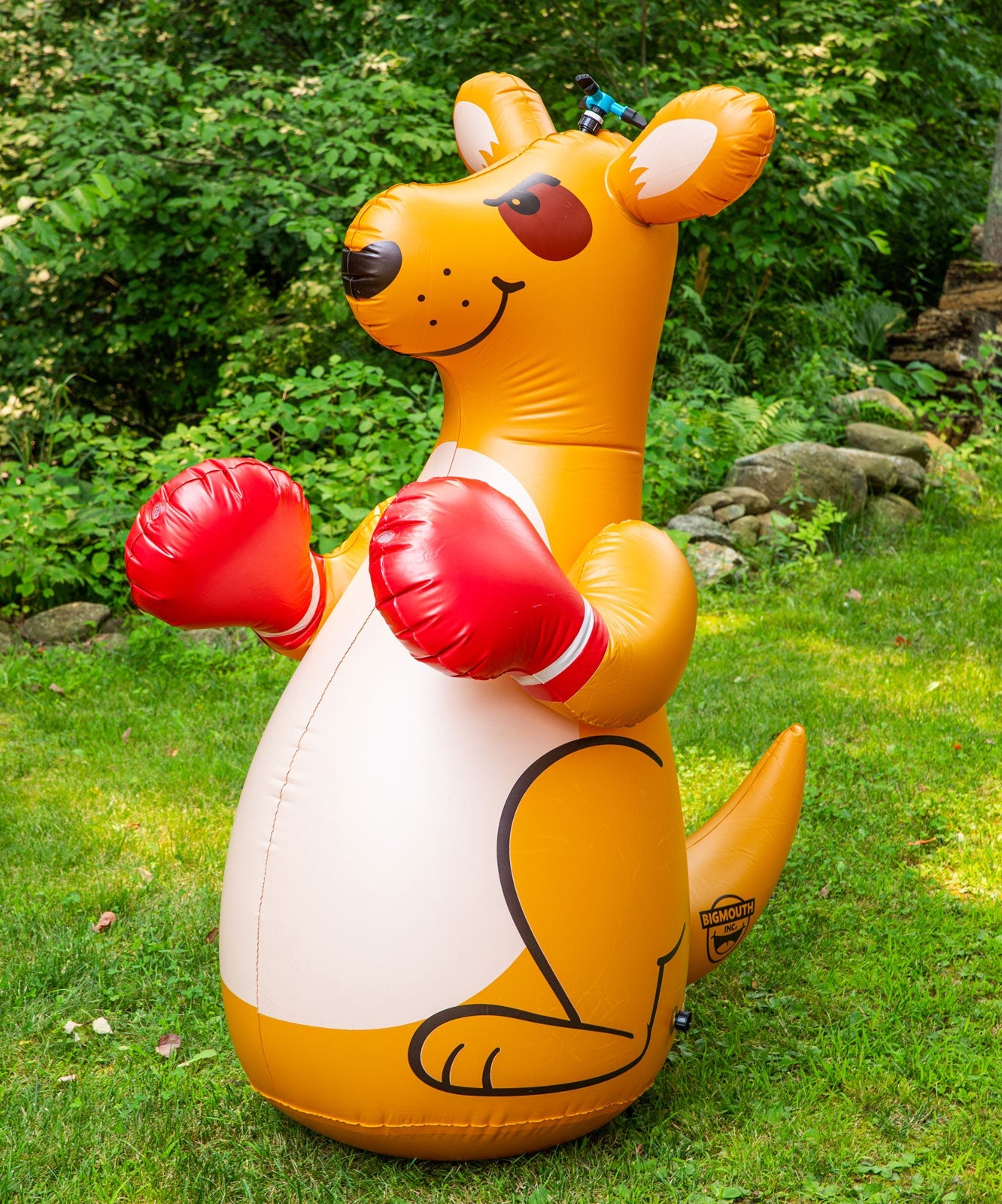 Boxing Kangaroo 60 inch