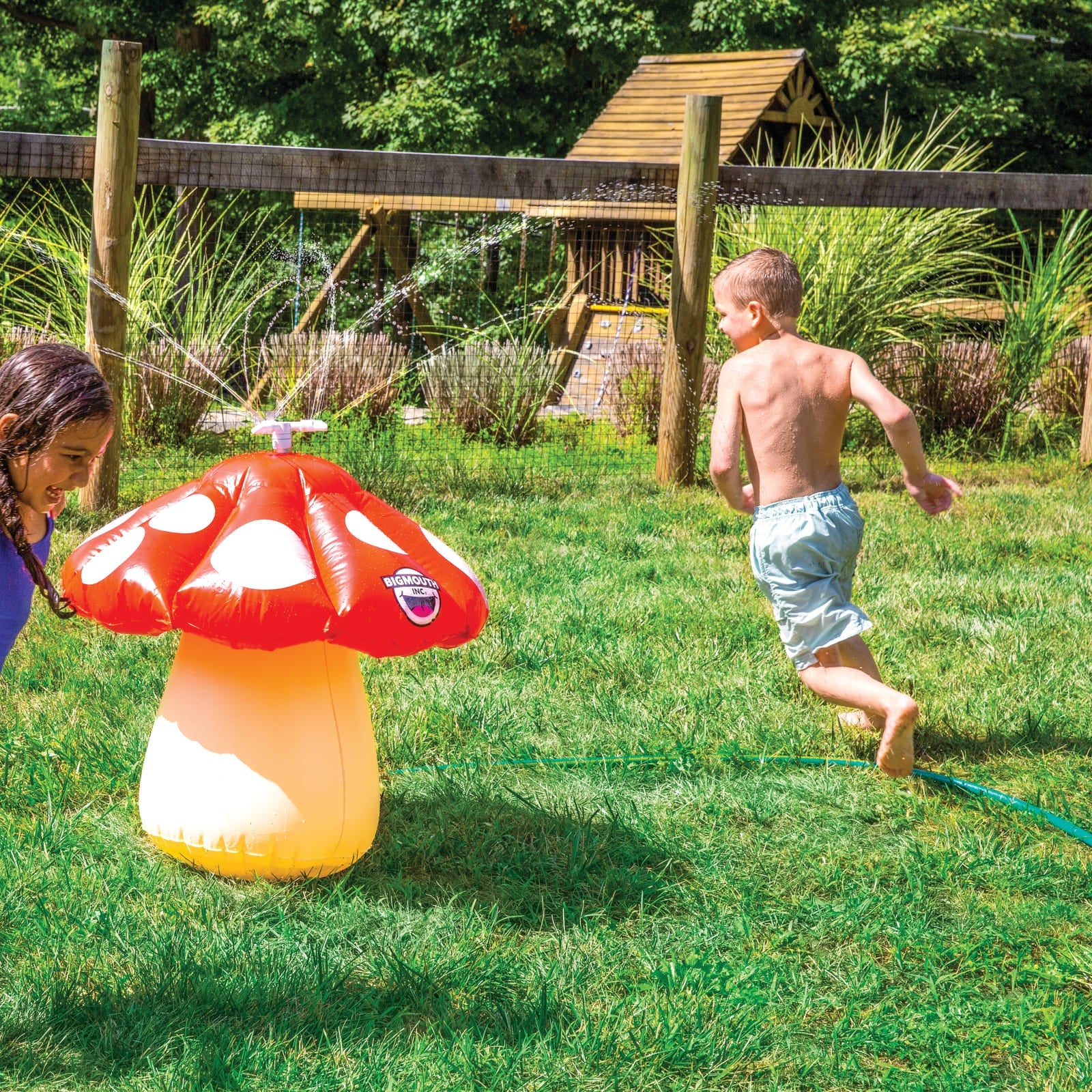 Mini Mushroom Sprinkler