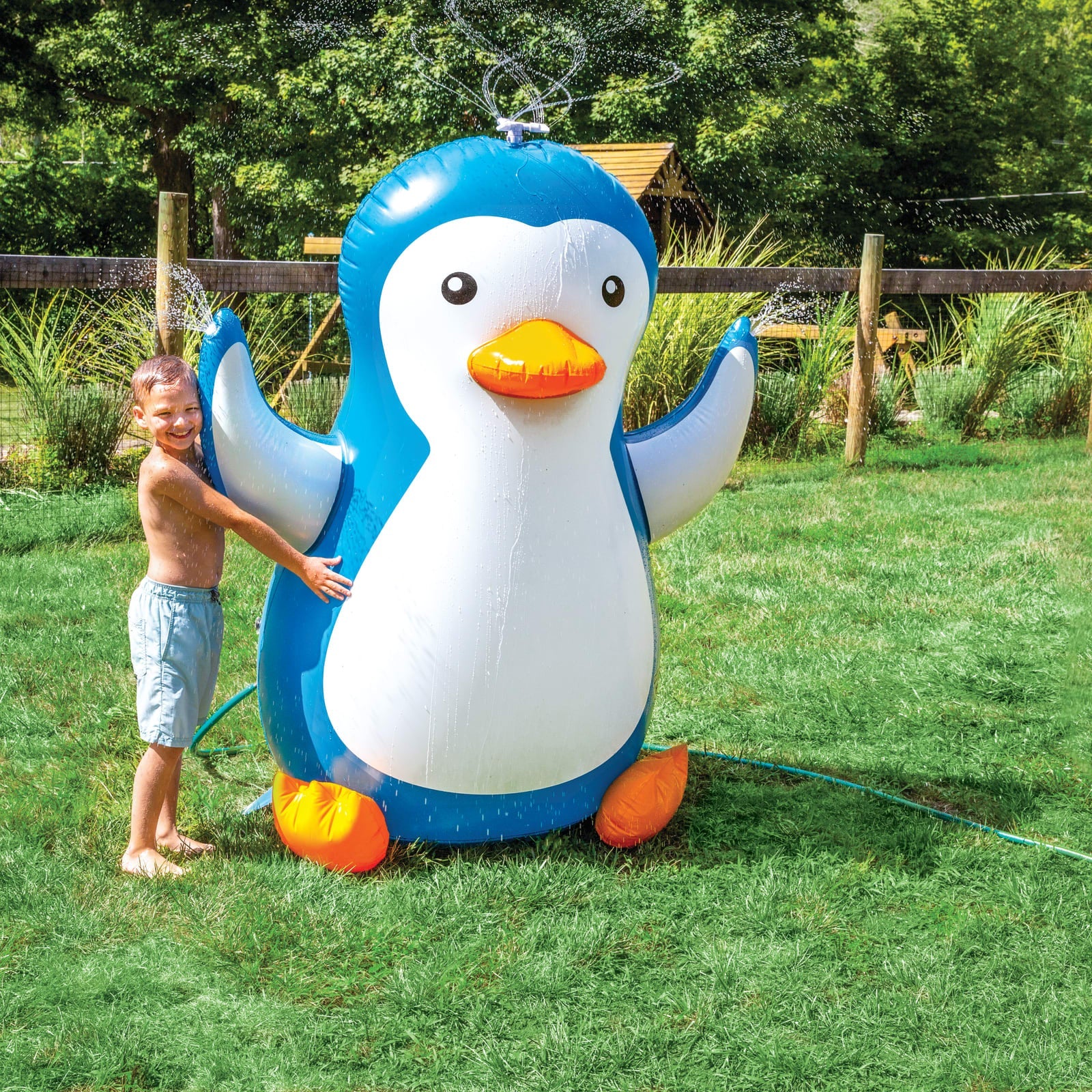 The Pinguino Backyard Sprinkler