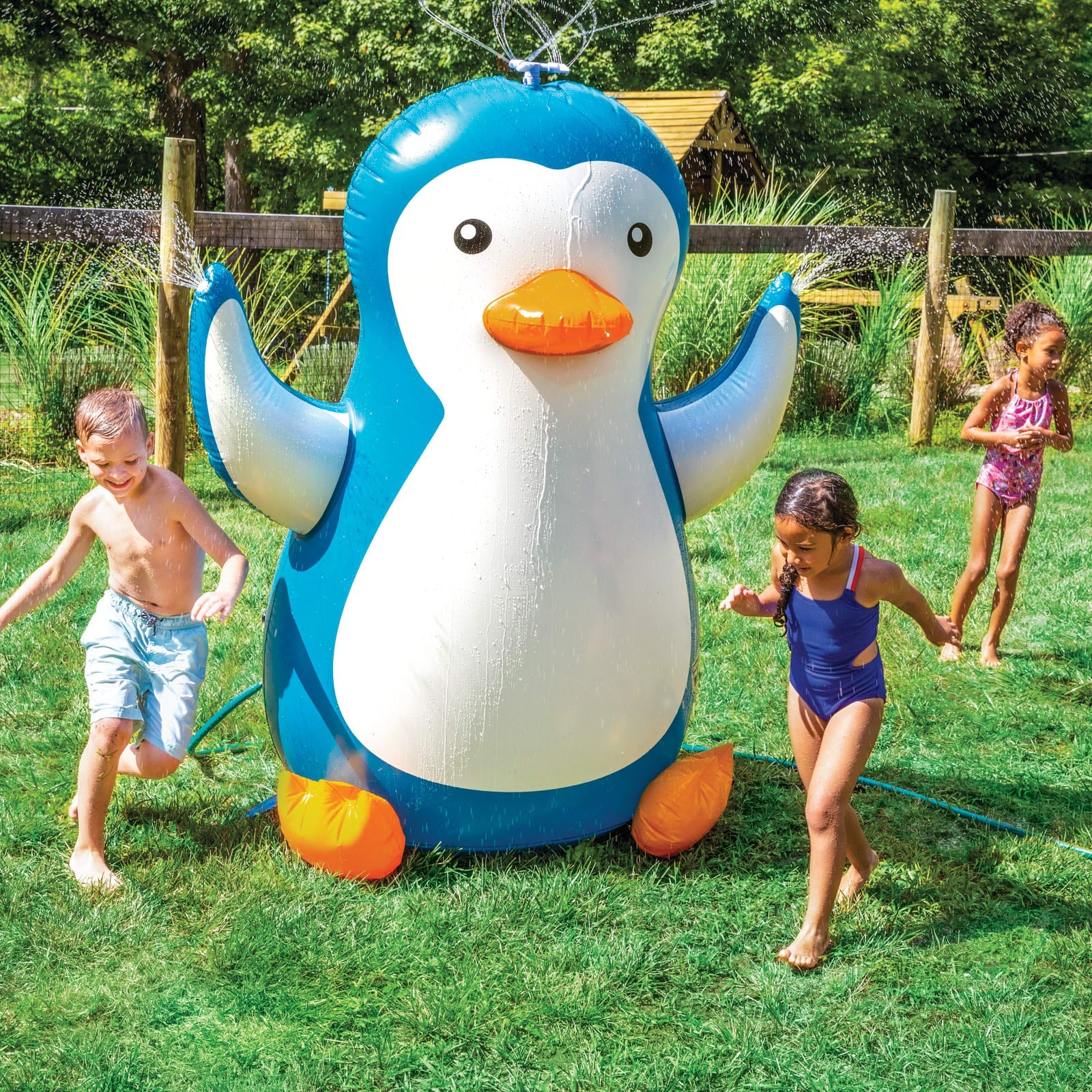 The Pinguino Backyard Sprinkler
