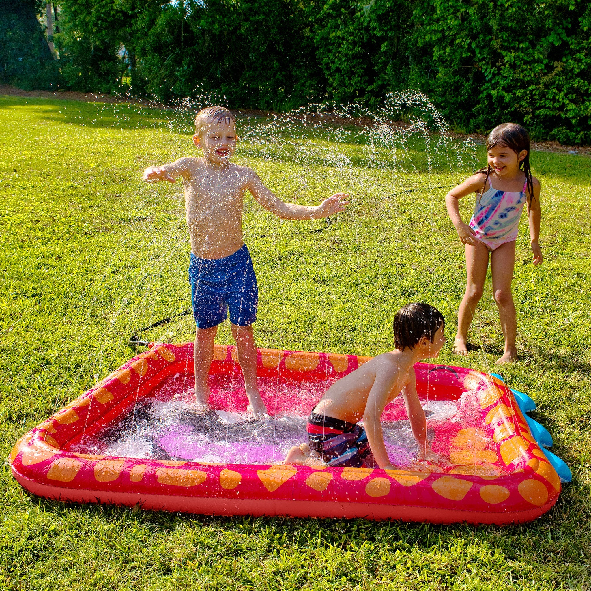 Dinosaur Splash Pad