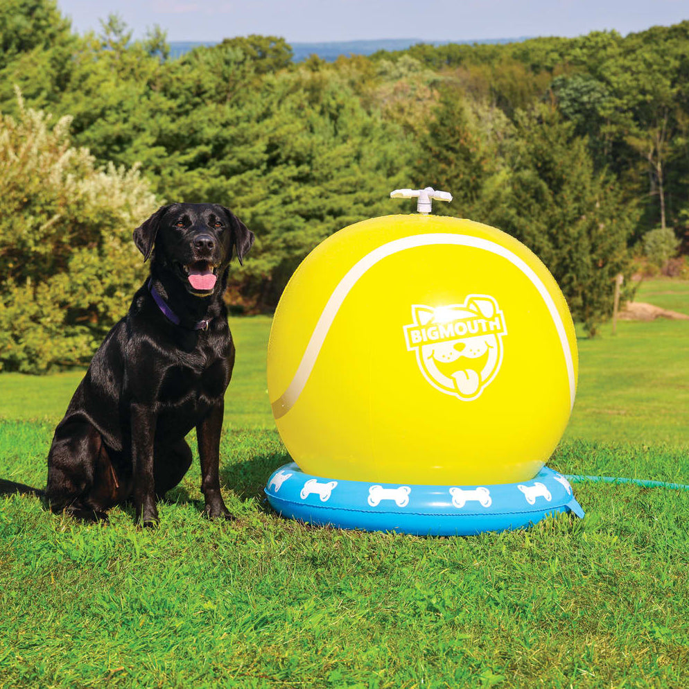 Outdoor water sprinkler for dogs best sale