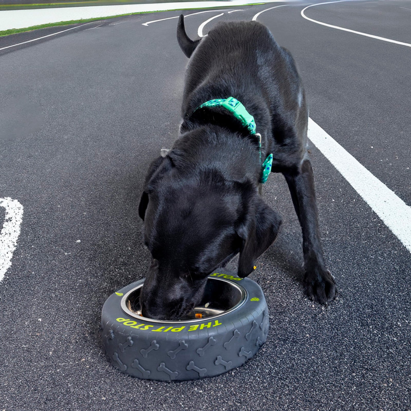 Tire-Shaped Dog bowl