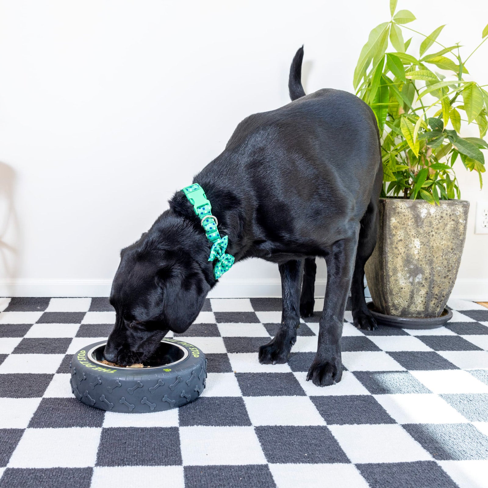 Tire-Shaped Dog bowl