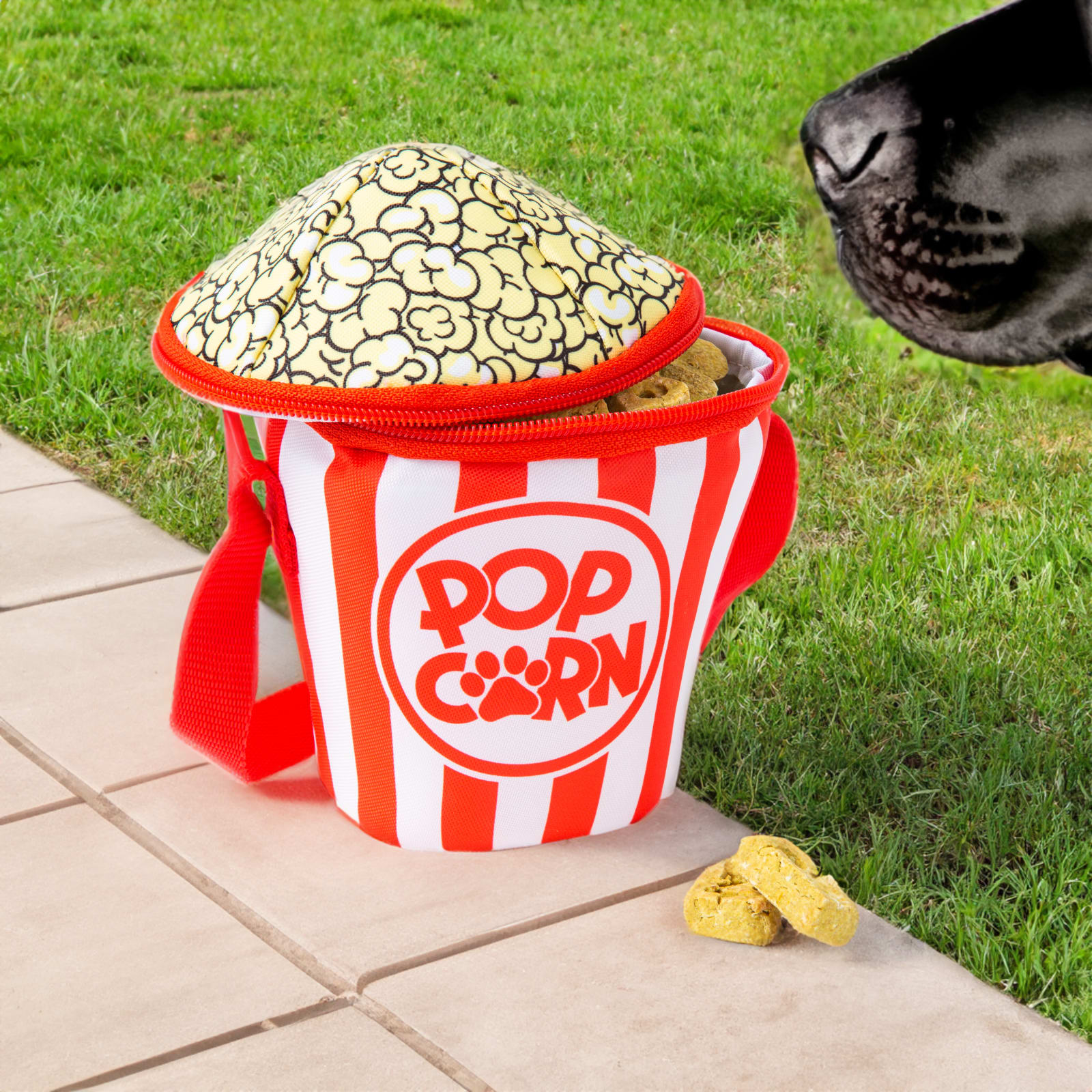 BigMouth Poppin' Pet Caddy