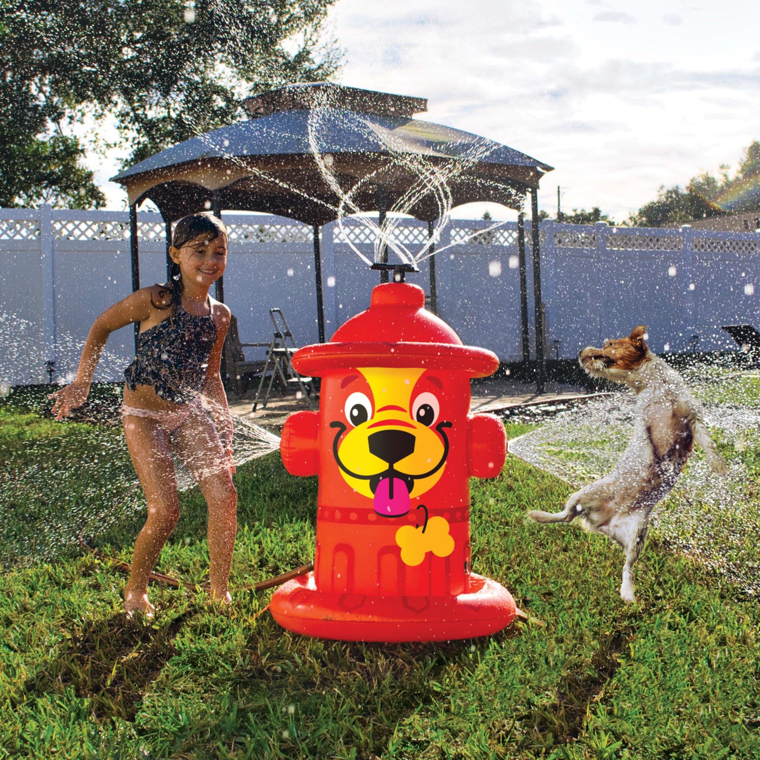 Mini Pet Fire Hydrant Sprinkler