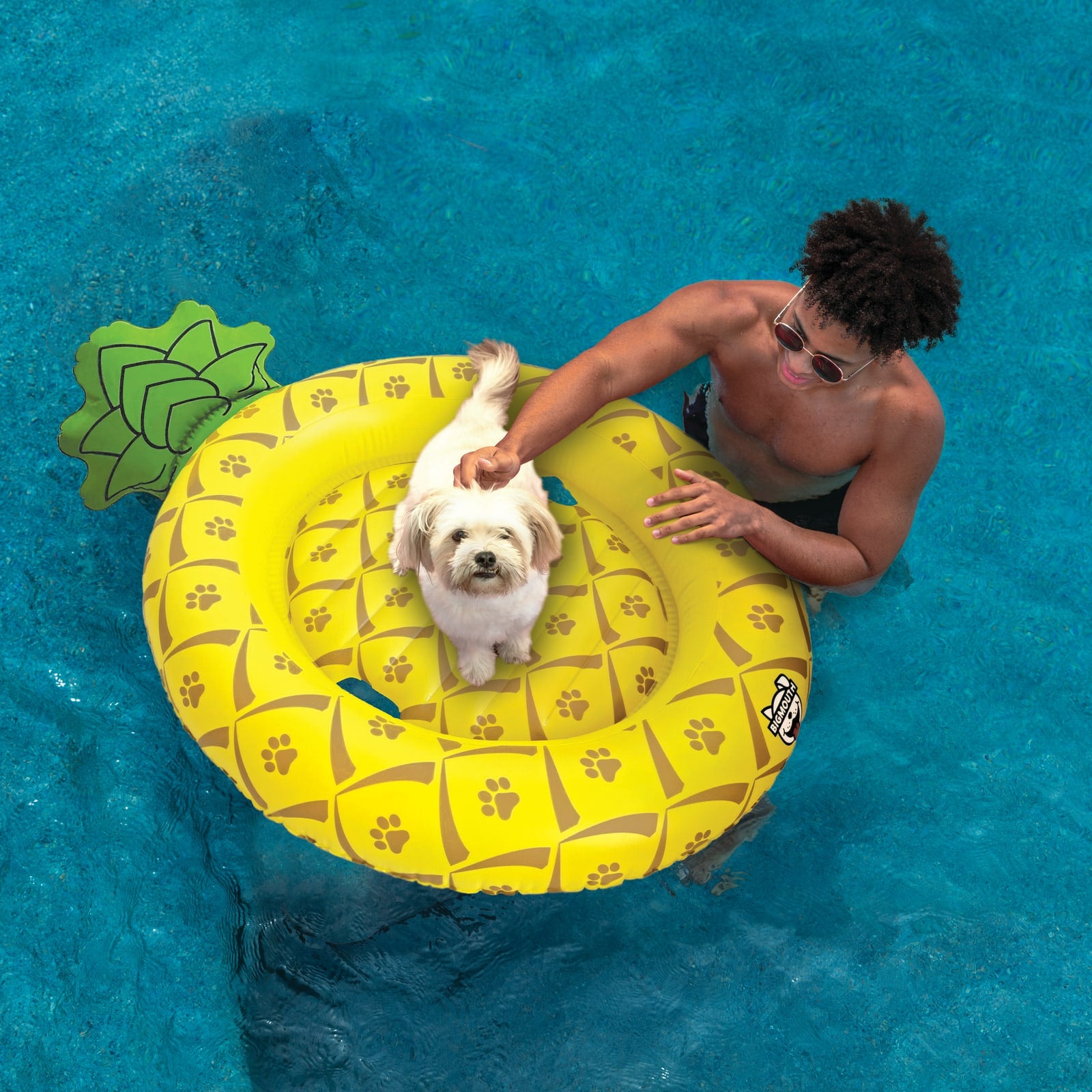 BigMouth Pets Pineapple Pool Float