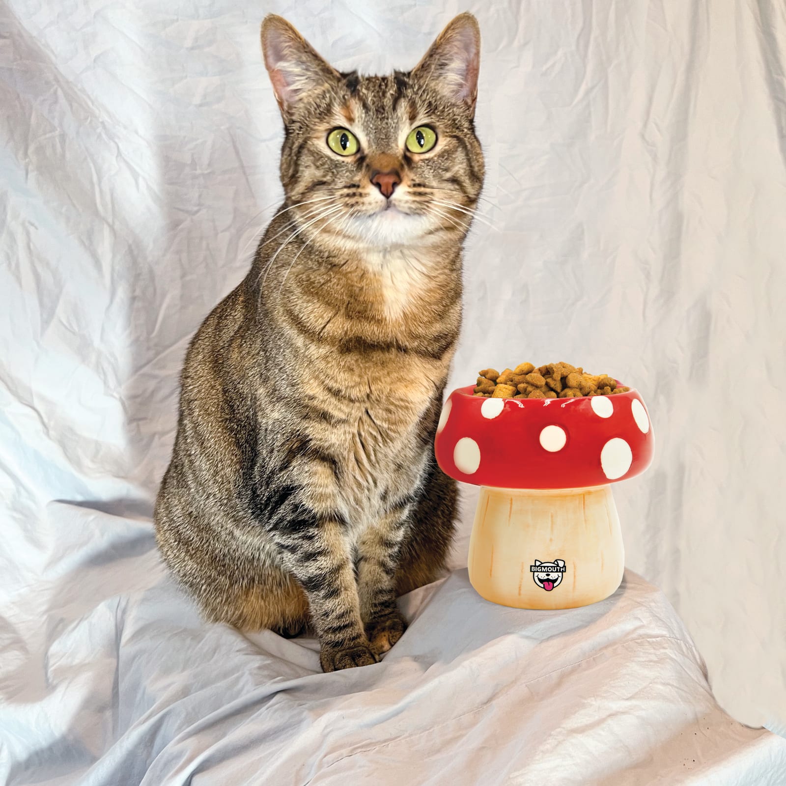 BigMouth 'Shroom' Cat and Dog Bowl