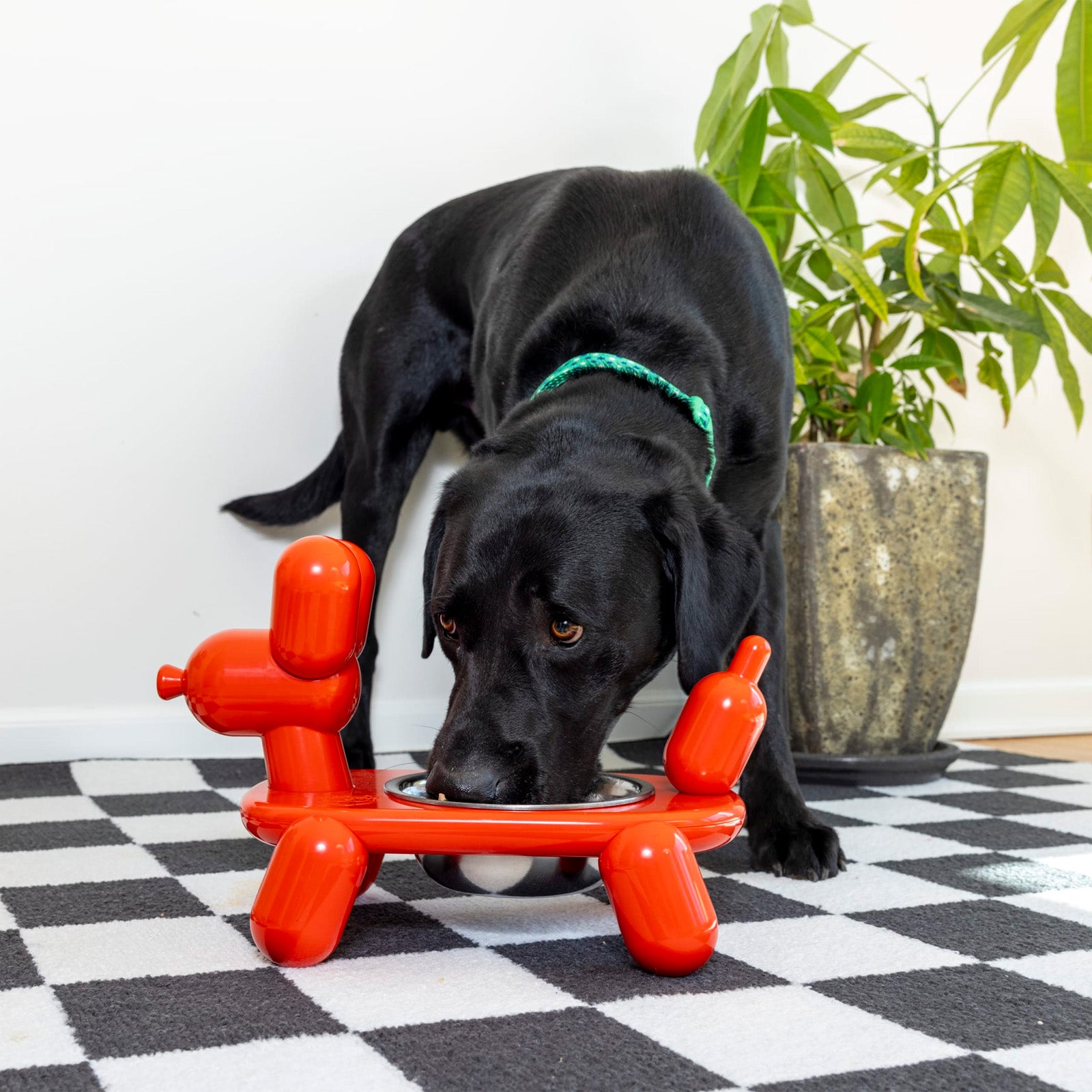 Balloon Dog Pet Bowl