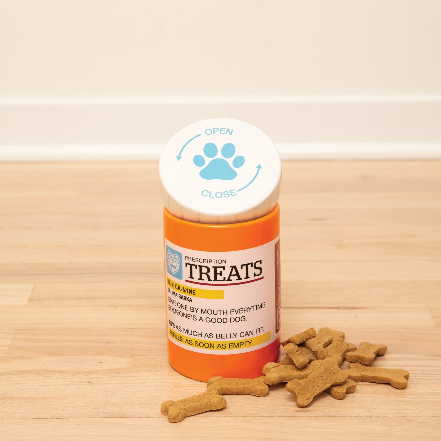 BigMouth Pets "Prescription" Treat Jar