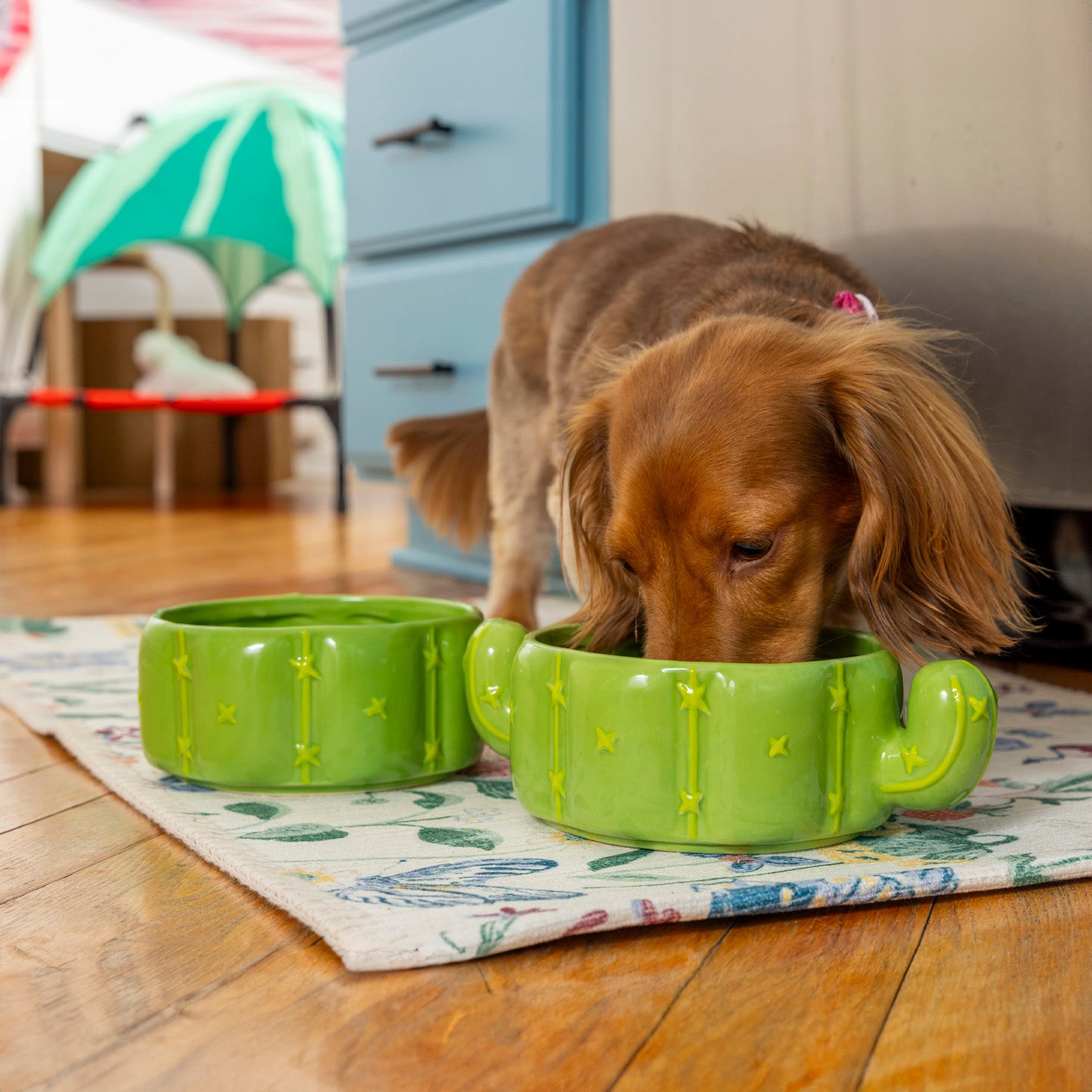 Cactus Stacking Pet Bowls