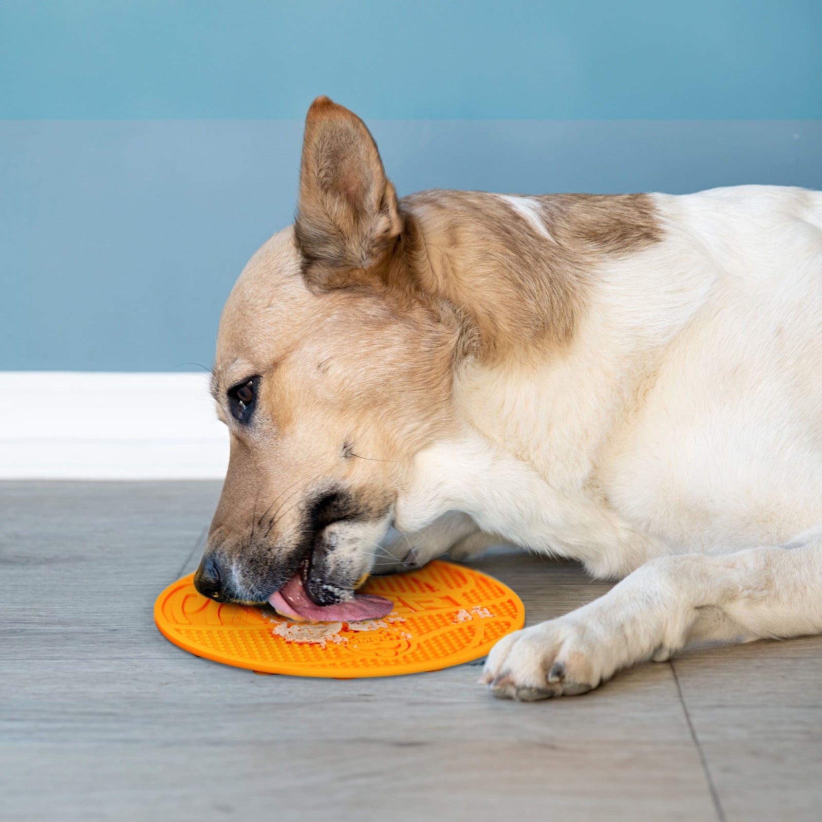 Basketball Lick Mat