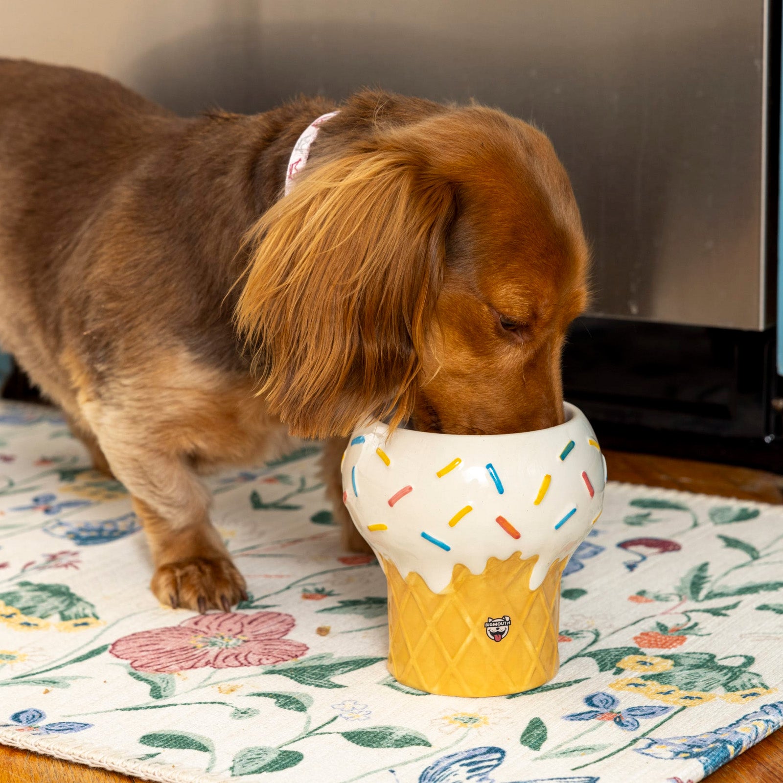 Ice Cream Elevated Pet Bowl