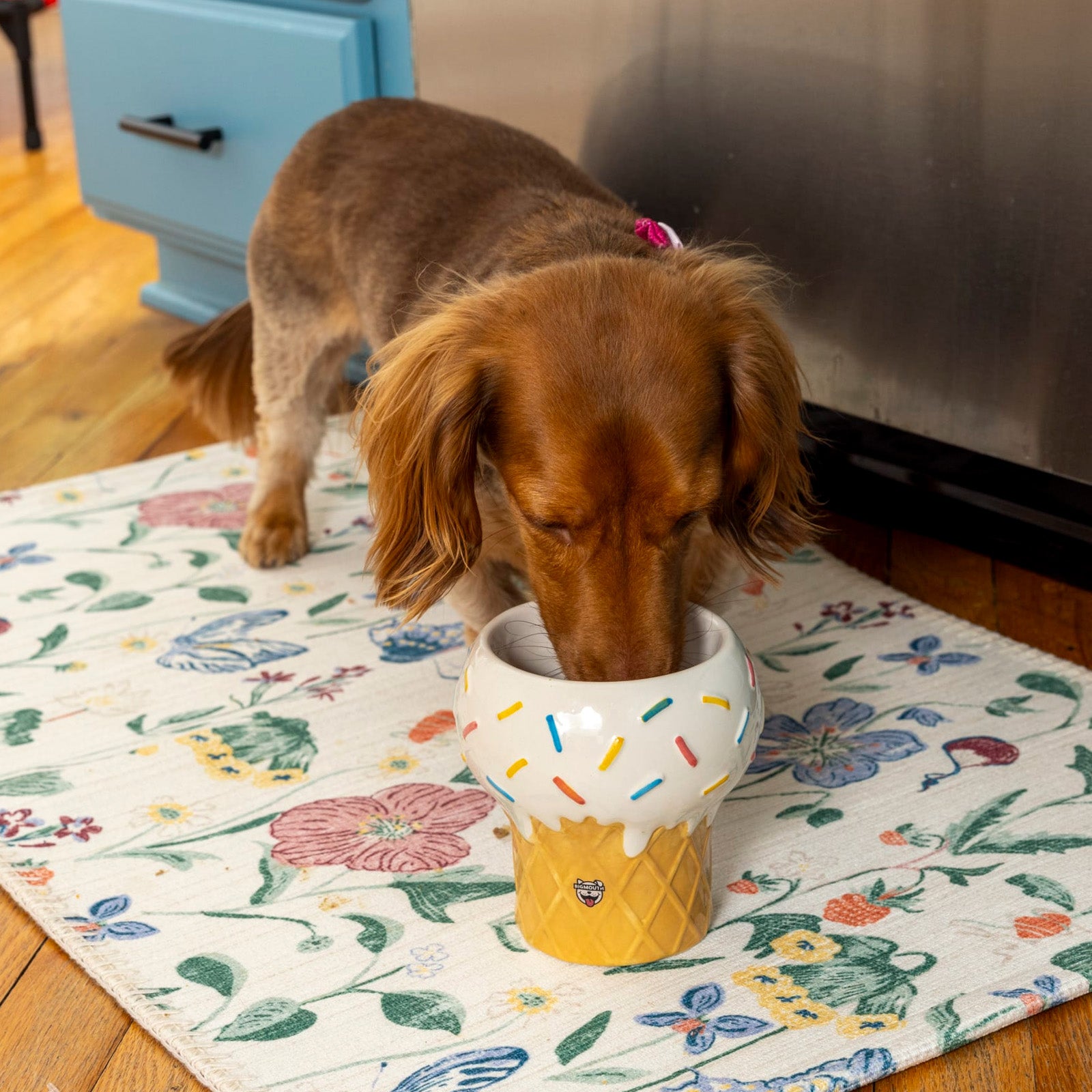 Ice Cream Elevated Pet Bowl