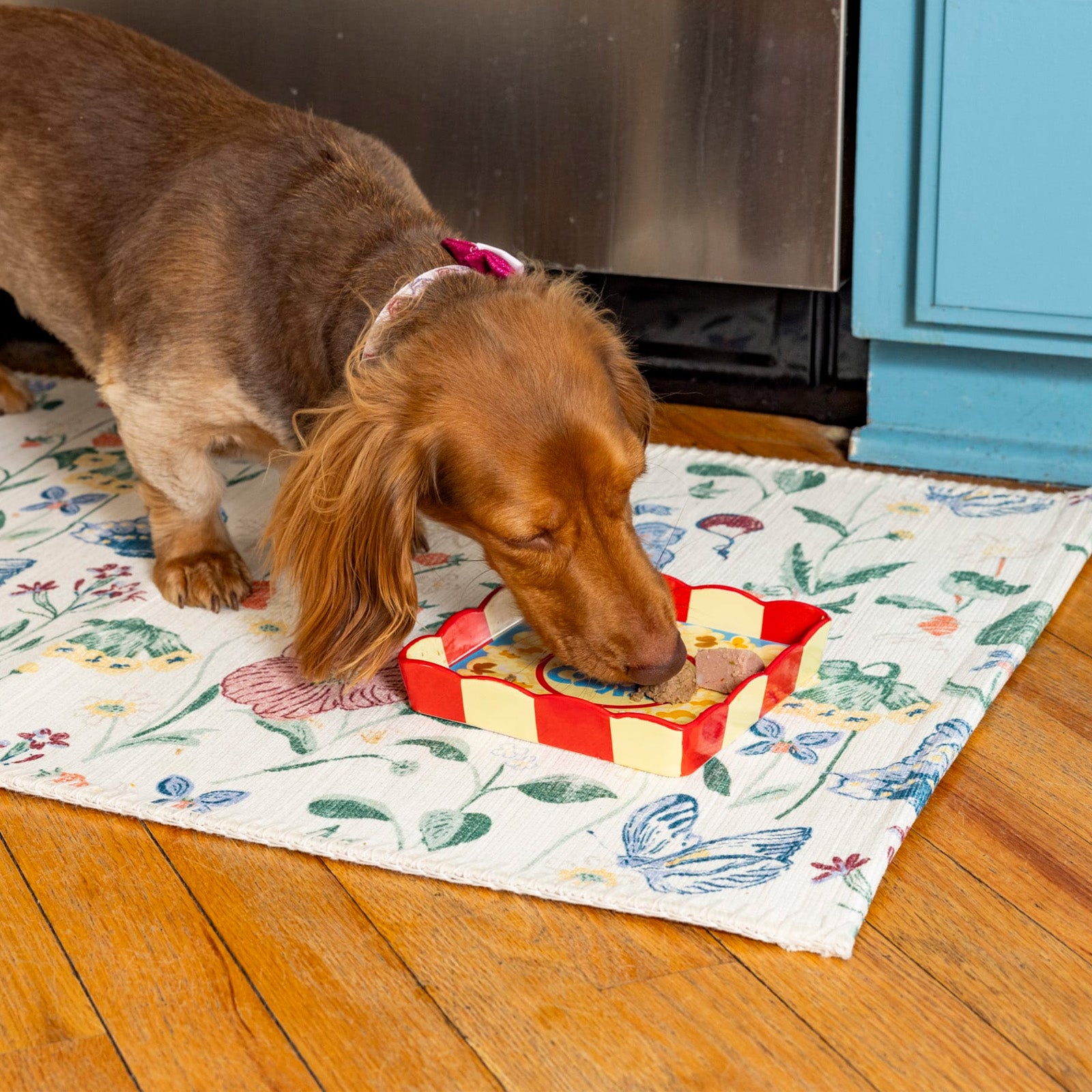 Paw-Corn Pet Plate