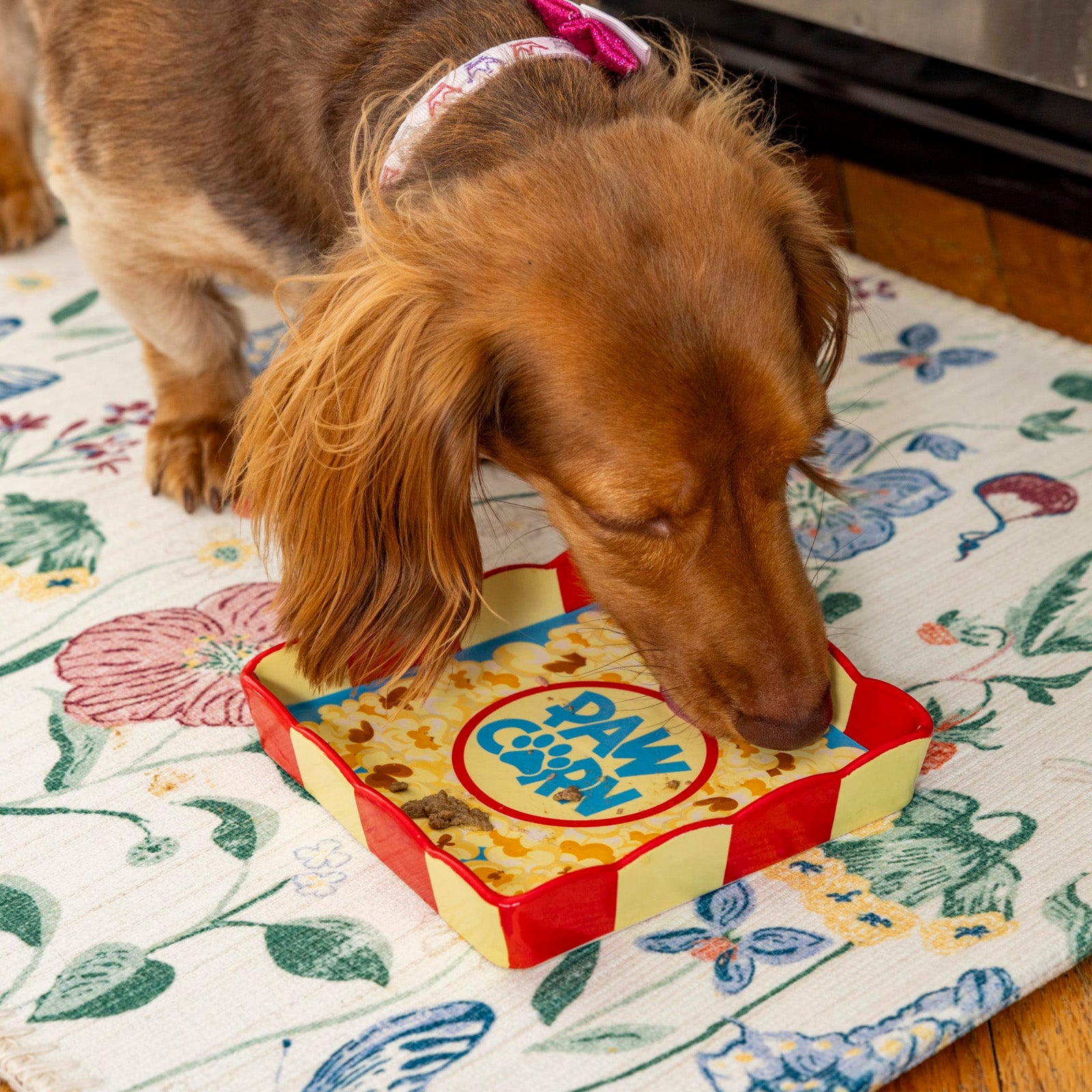 Paw-Corn Pet Plate