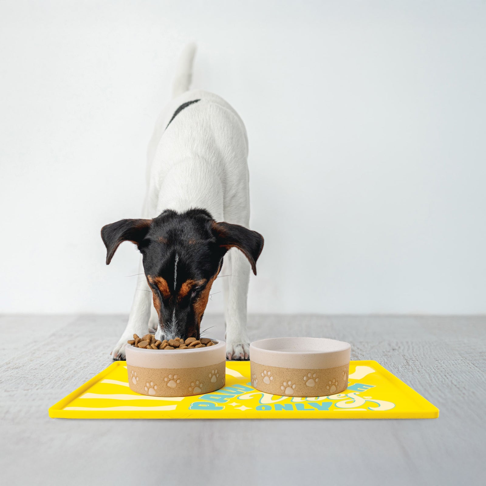 Pawsitive Vibes Pet Placemat