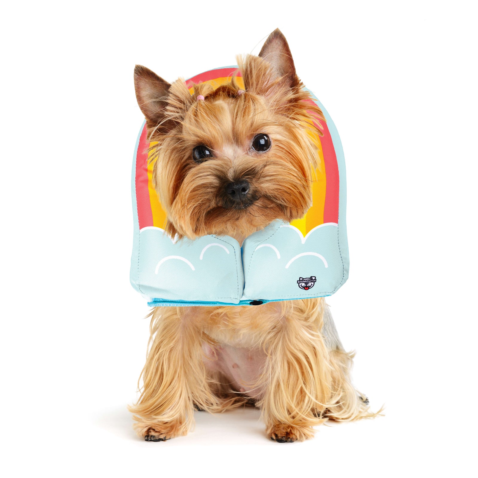 Rainbow Inflatable Dog Recovery Collar