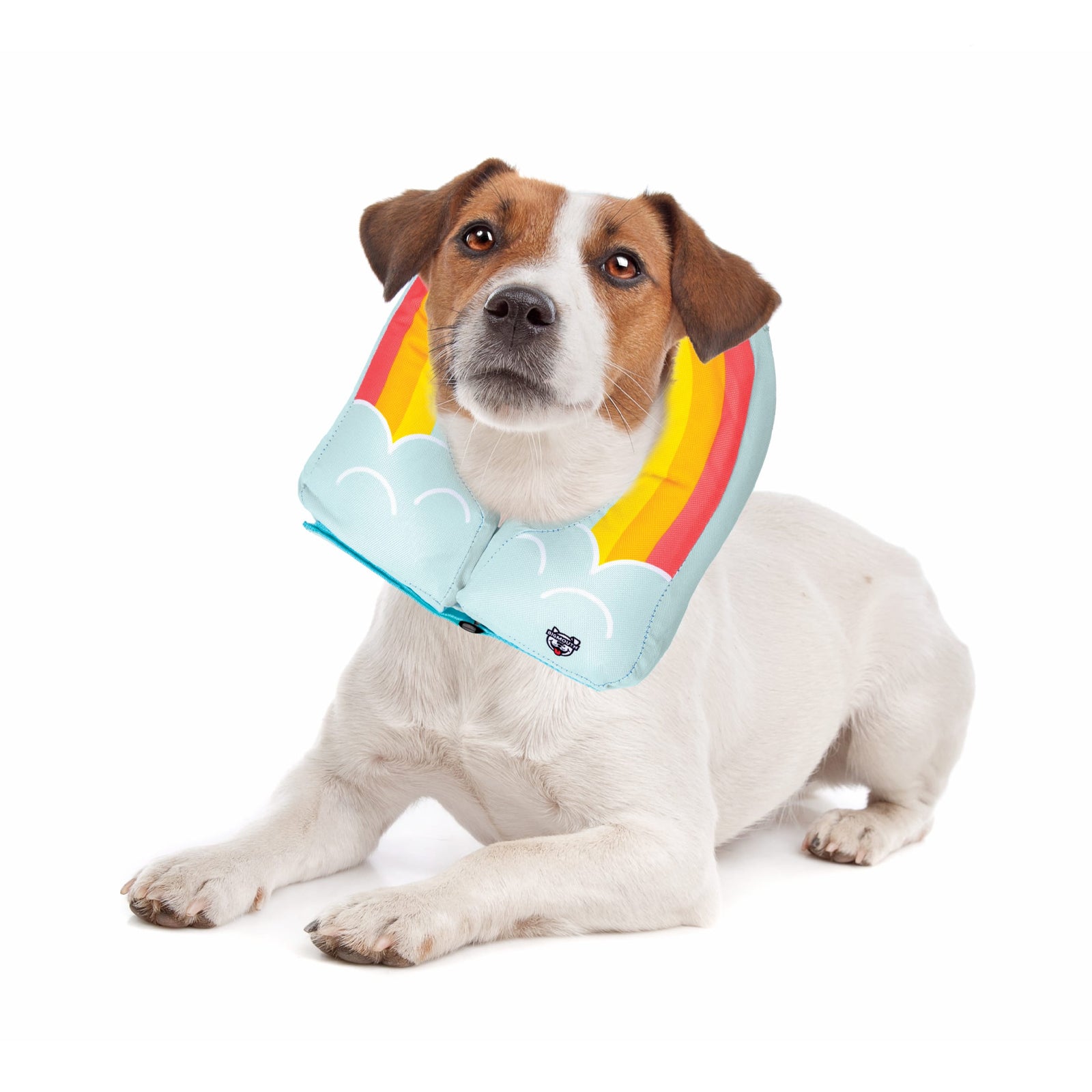 Rainbow Inflatable Dog Recovery Collar