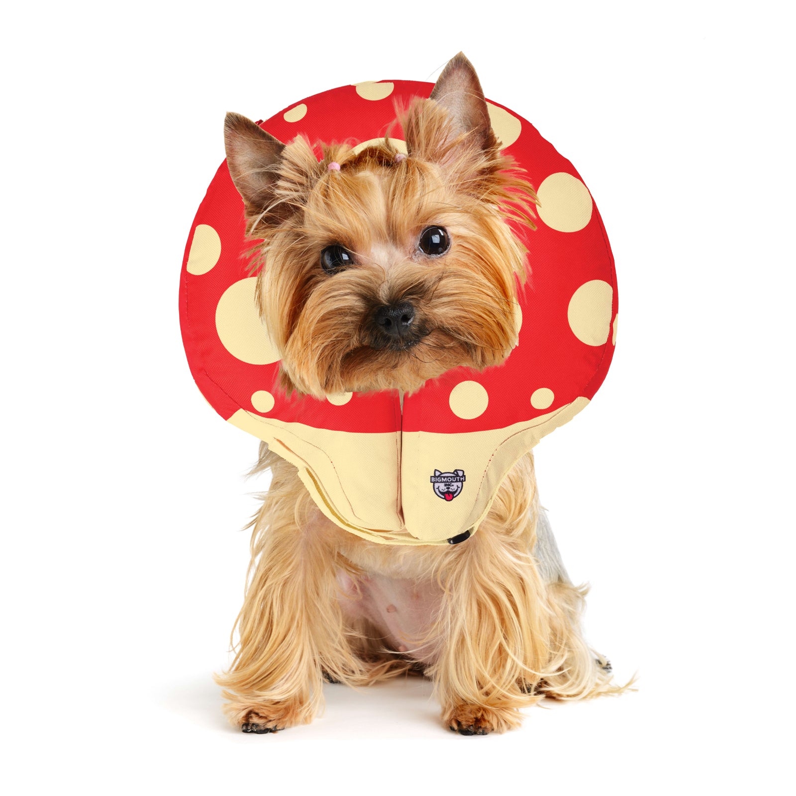 Mushroom Inflatable Dog Recovery Collar